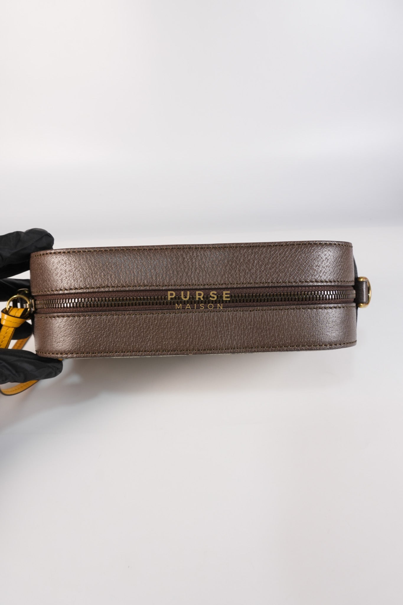 Neo Vintage Metallic Tiger Camera Bag in Supreme Monogram Canvas | Purse Maison Luxury Bags Shop