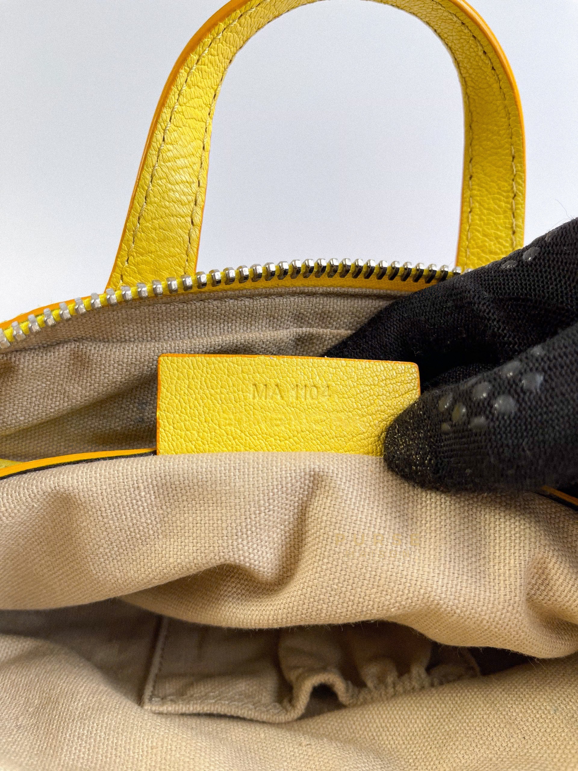 Nightingale Yellow Micro Bag | Purse Maison Luxury Bags Shop