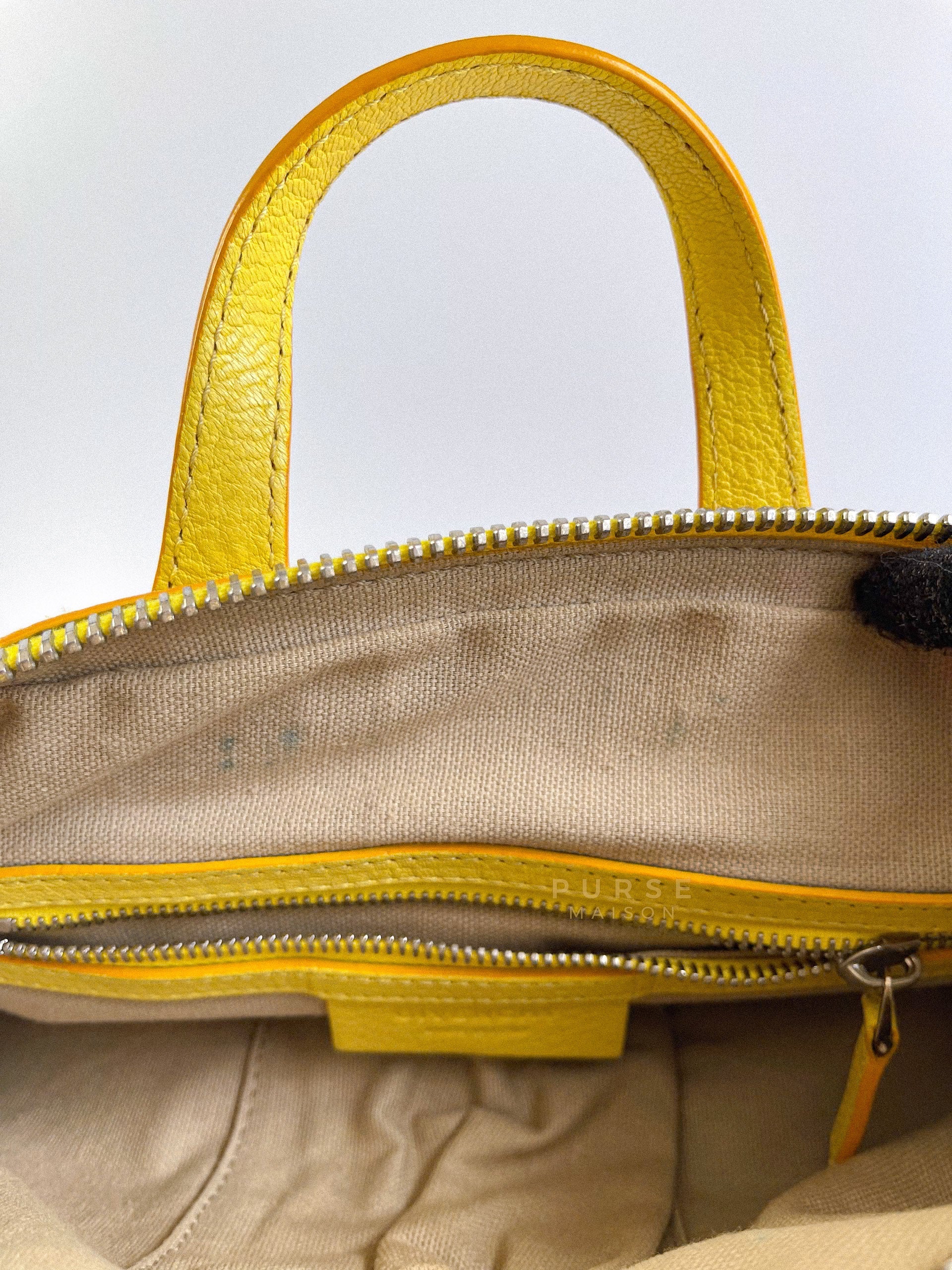 Nightingale Yellow Micro Bag | Purse Maison Luxury Bags Shop