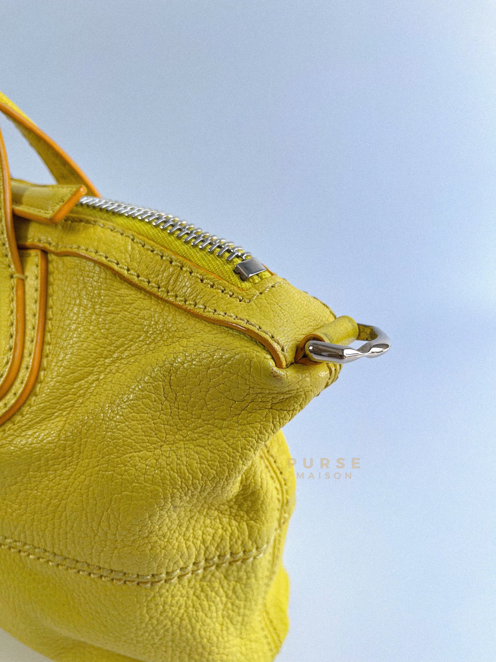 Nightingale Yellow Micro Bag | Purse Maison Luxury Bags Shop