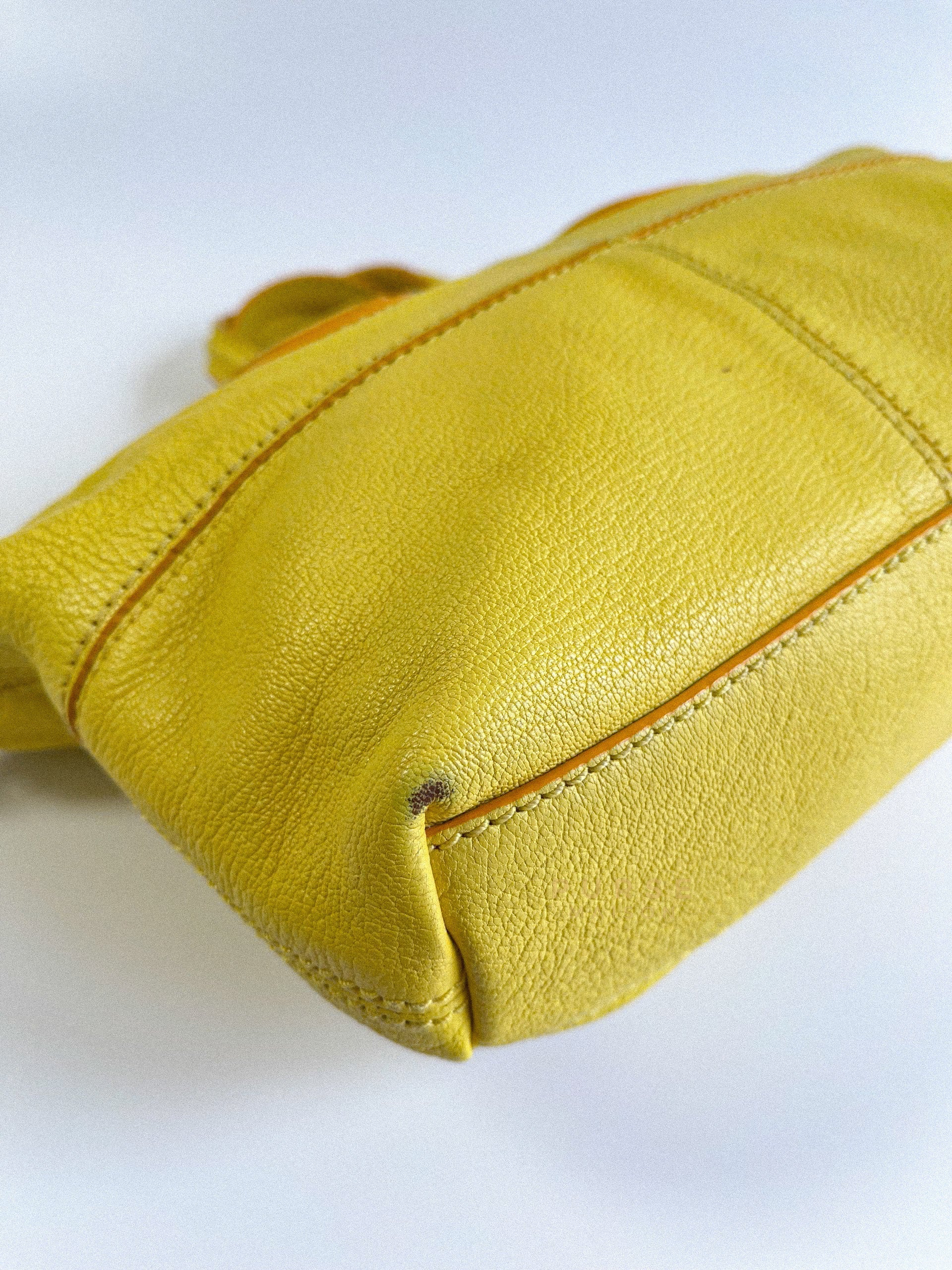 Nightingale Yellow Micro Bag | Purse Maison Luxury Bags Shop