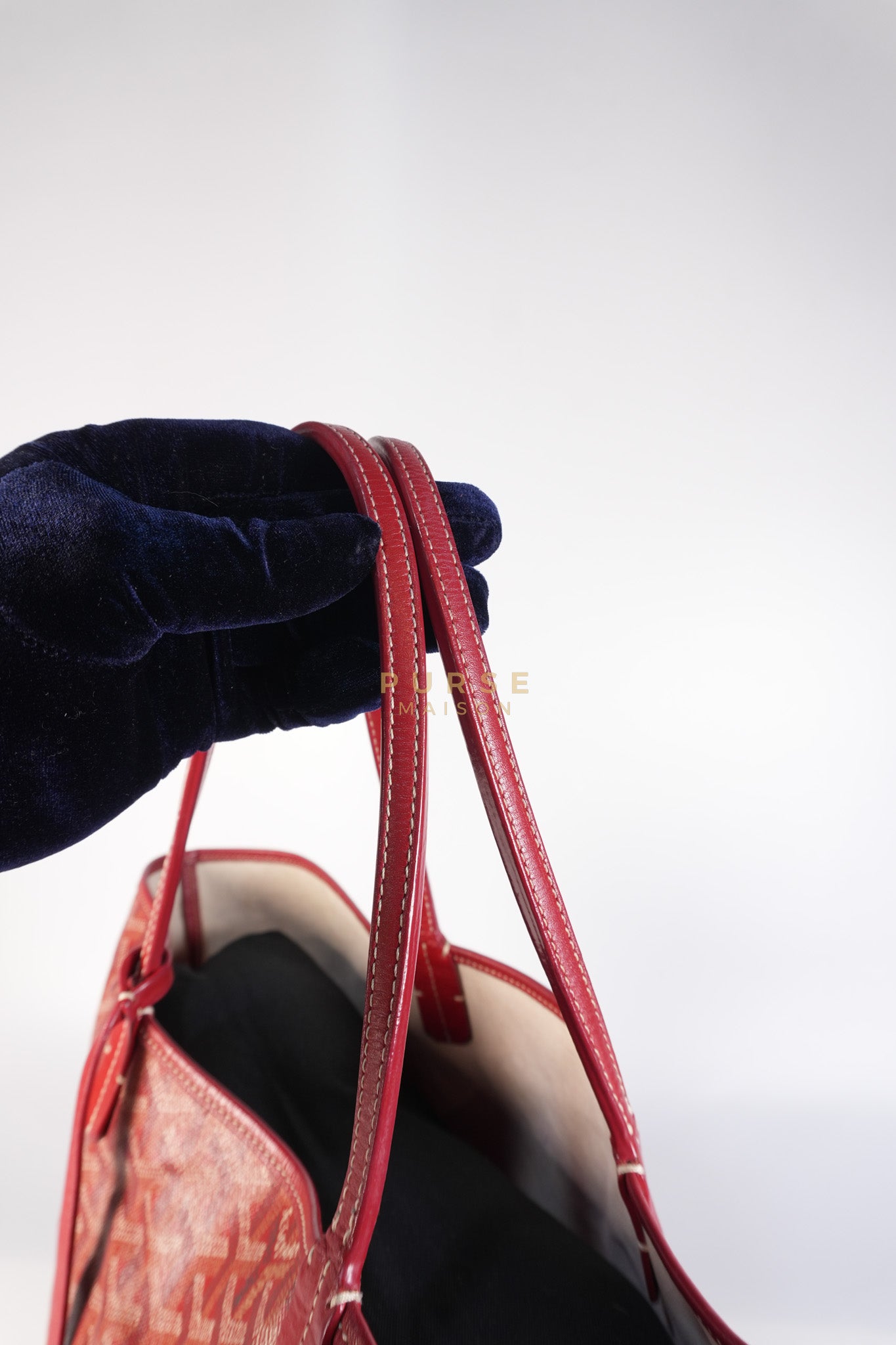 Saint Louis PM Red Goyardine Canvas