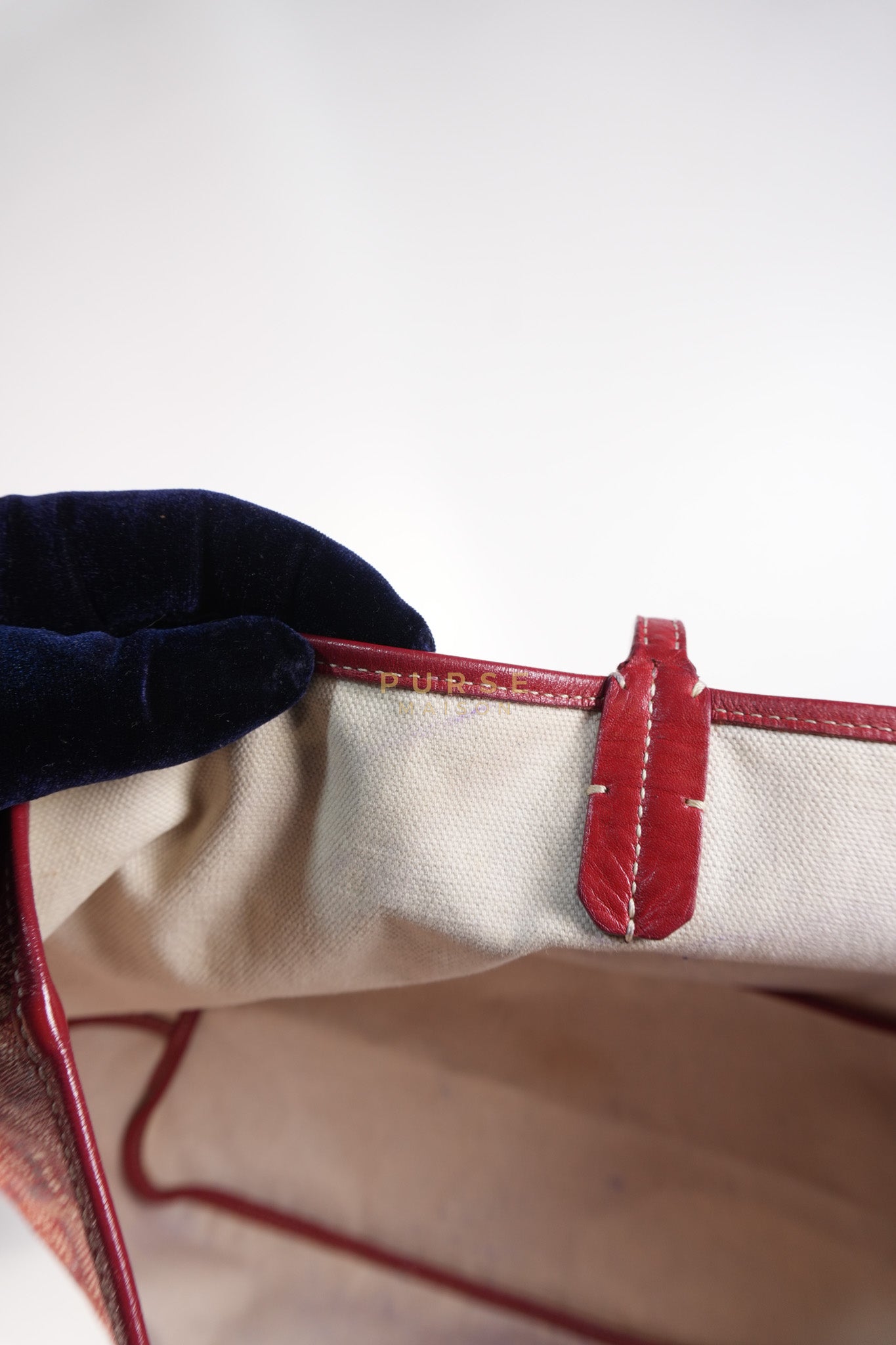 Saint Louis PM Red Goyardine Canvas