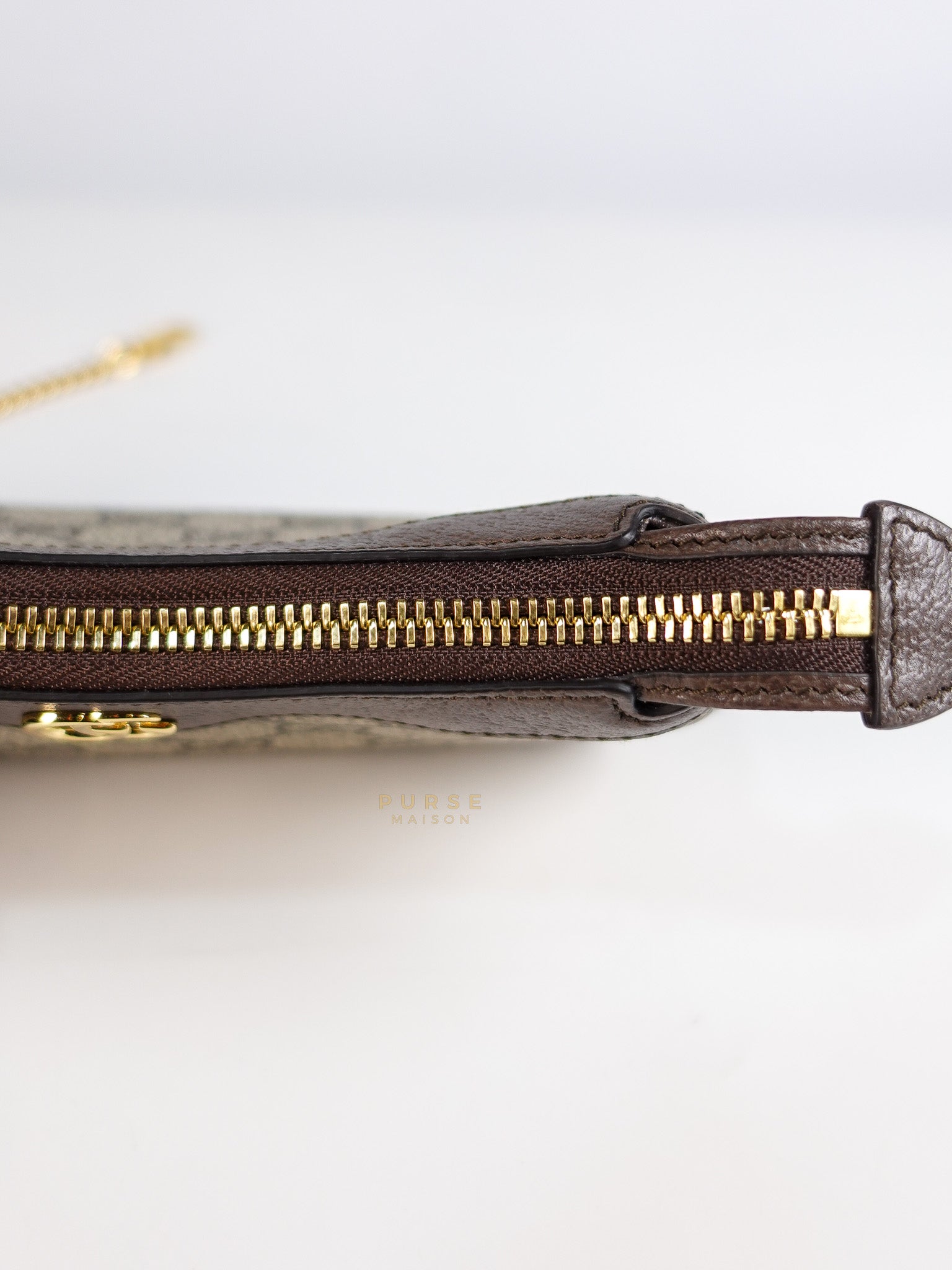 Ophidia Bag Mini in Brown Gold Hardware | Purse Maison Luxury Bags Shop