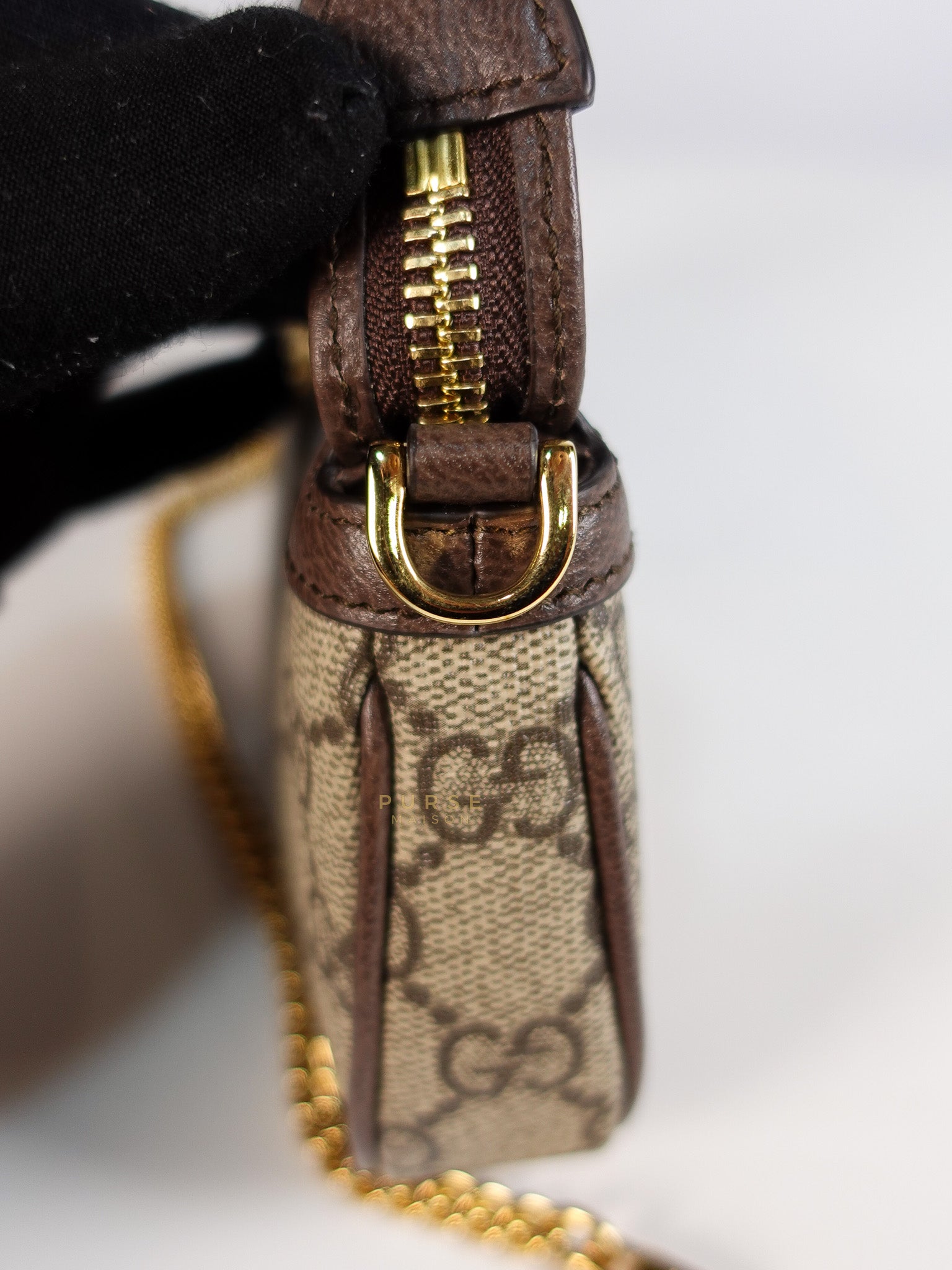Ophidia Bag Mini in Brown Gold Hardware | Purse Maison Luxury Bags Shop