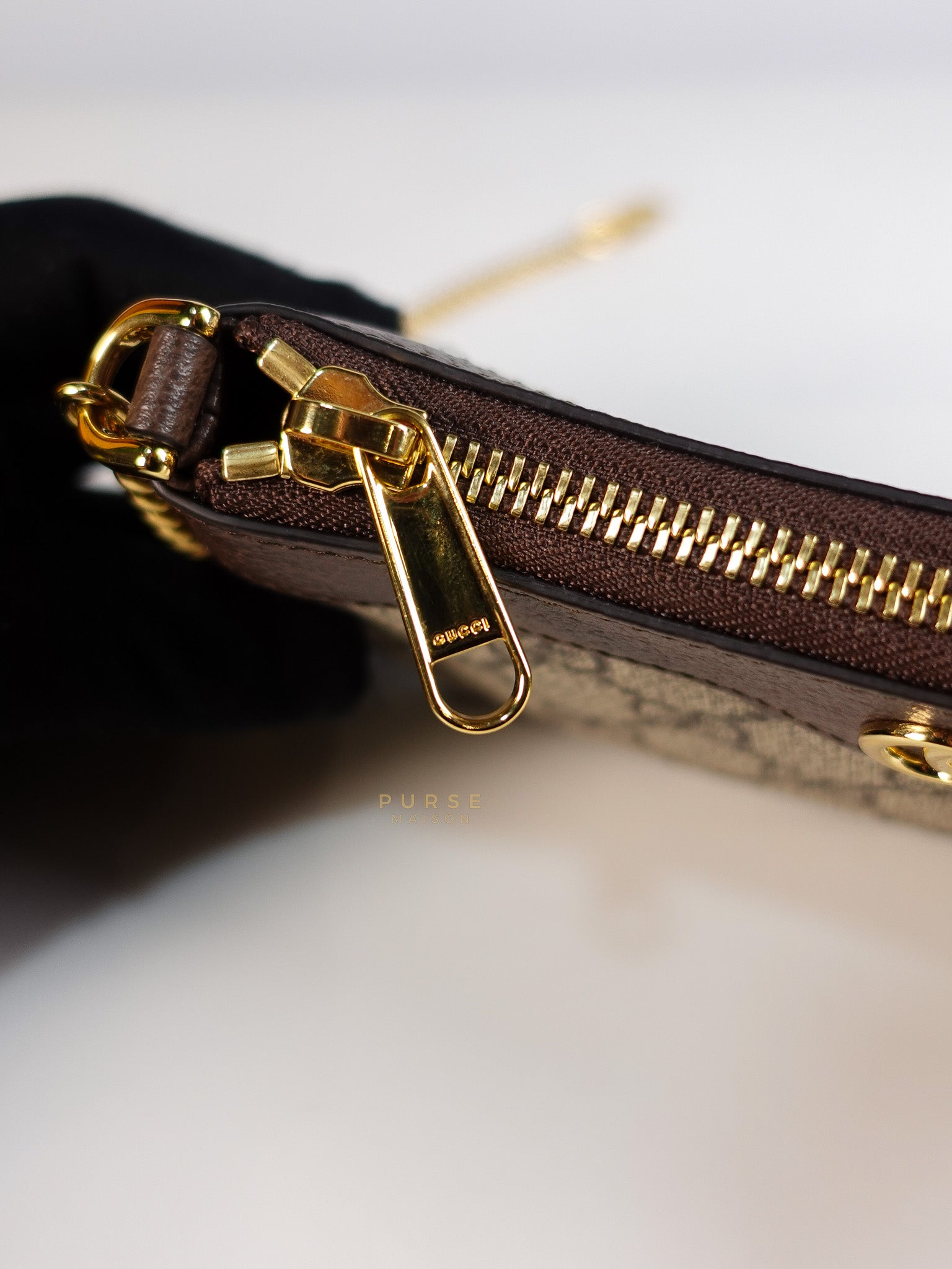 Ophidia Bag Mini in Brown Gold Hardware | Purse Maison Luxury Bags Shop