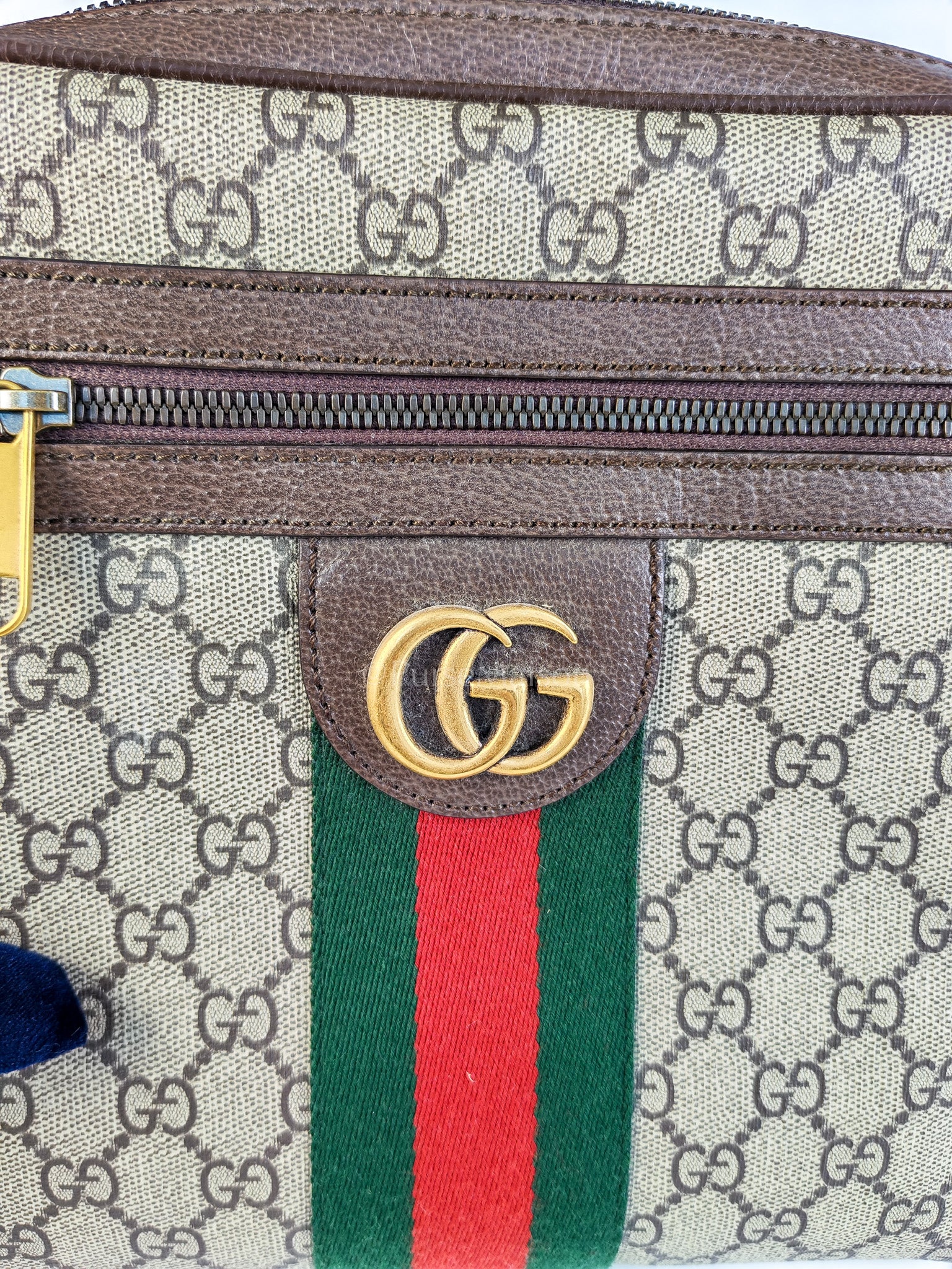 Ophidia Crossbody Messsenger Bag | Purse Maison Luxury Bags Shop