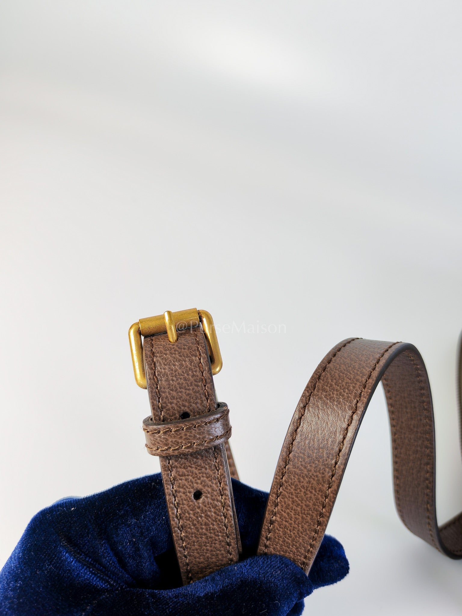 Ophidia Crossbody Messsenger Bag | Purse Maison Luxury Bags Shop