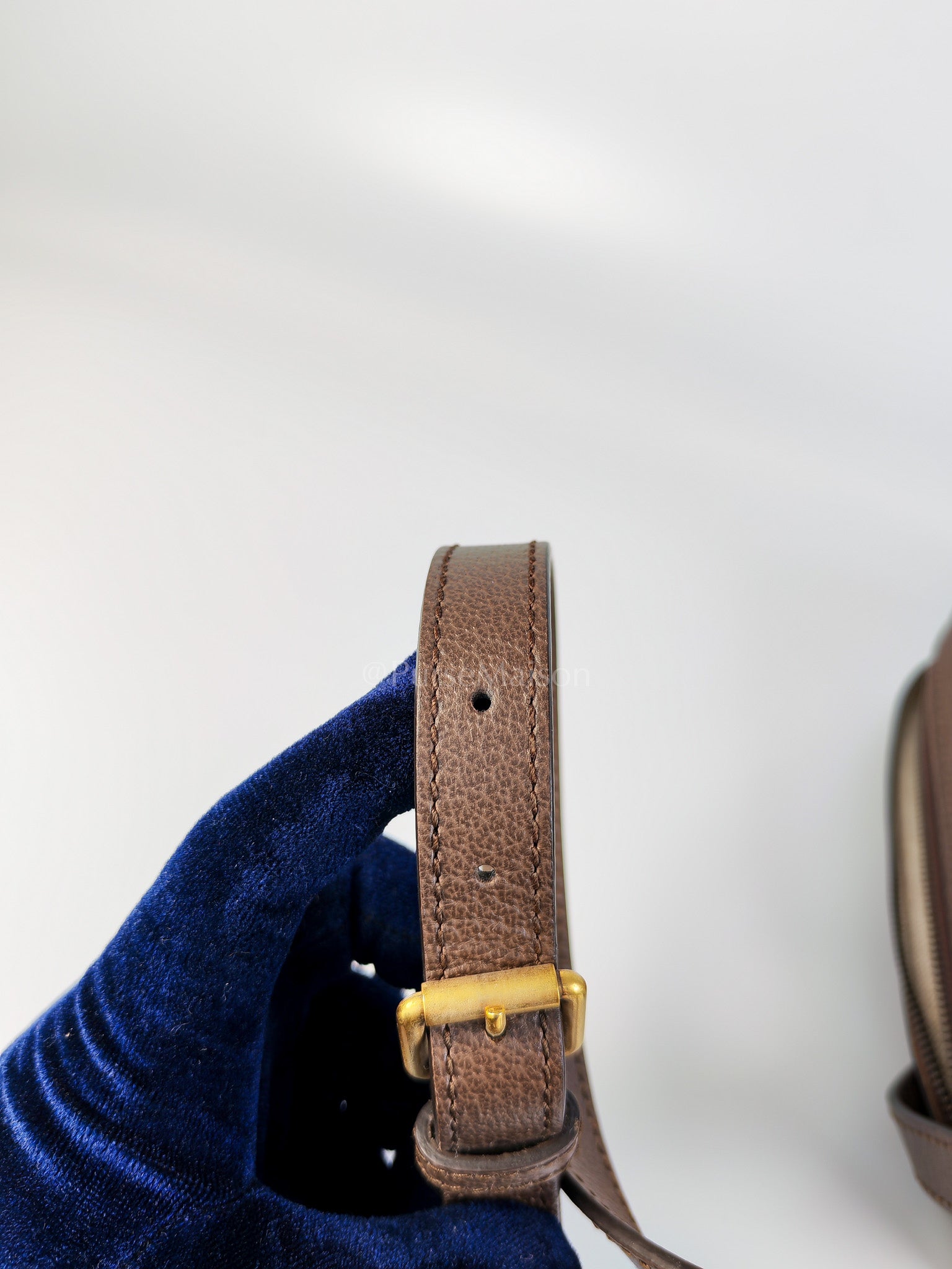 Ophidia Crossbody Messsenger Bag | Purse Maison Luxury Bags Shop