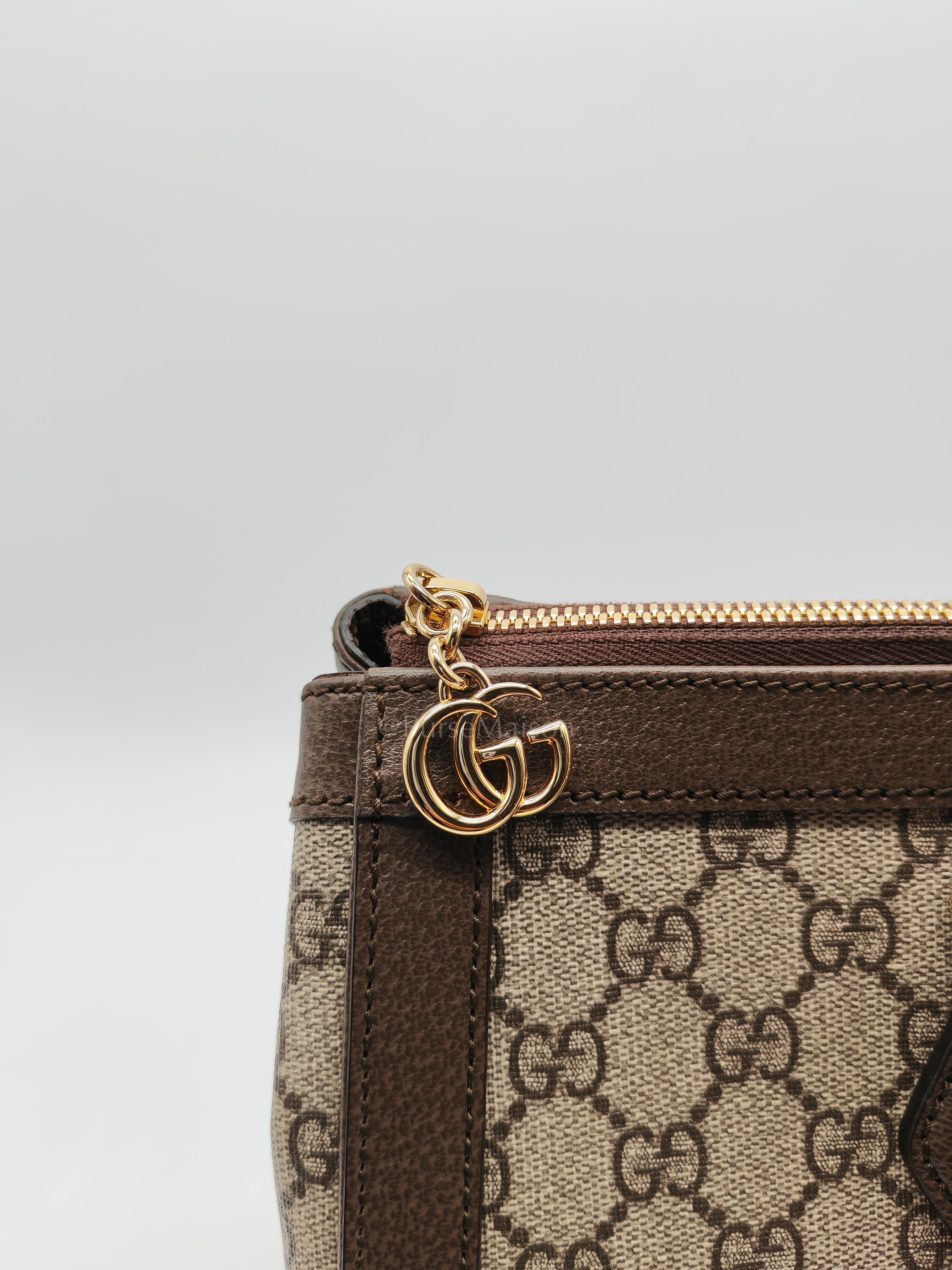 Ophidia Supremen Canvas Medium Tote Bag | Purse Maison Luxury Bags Shop