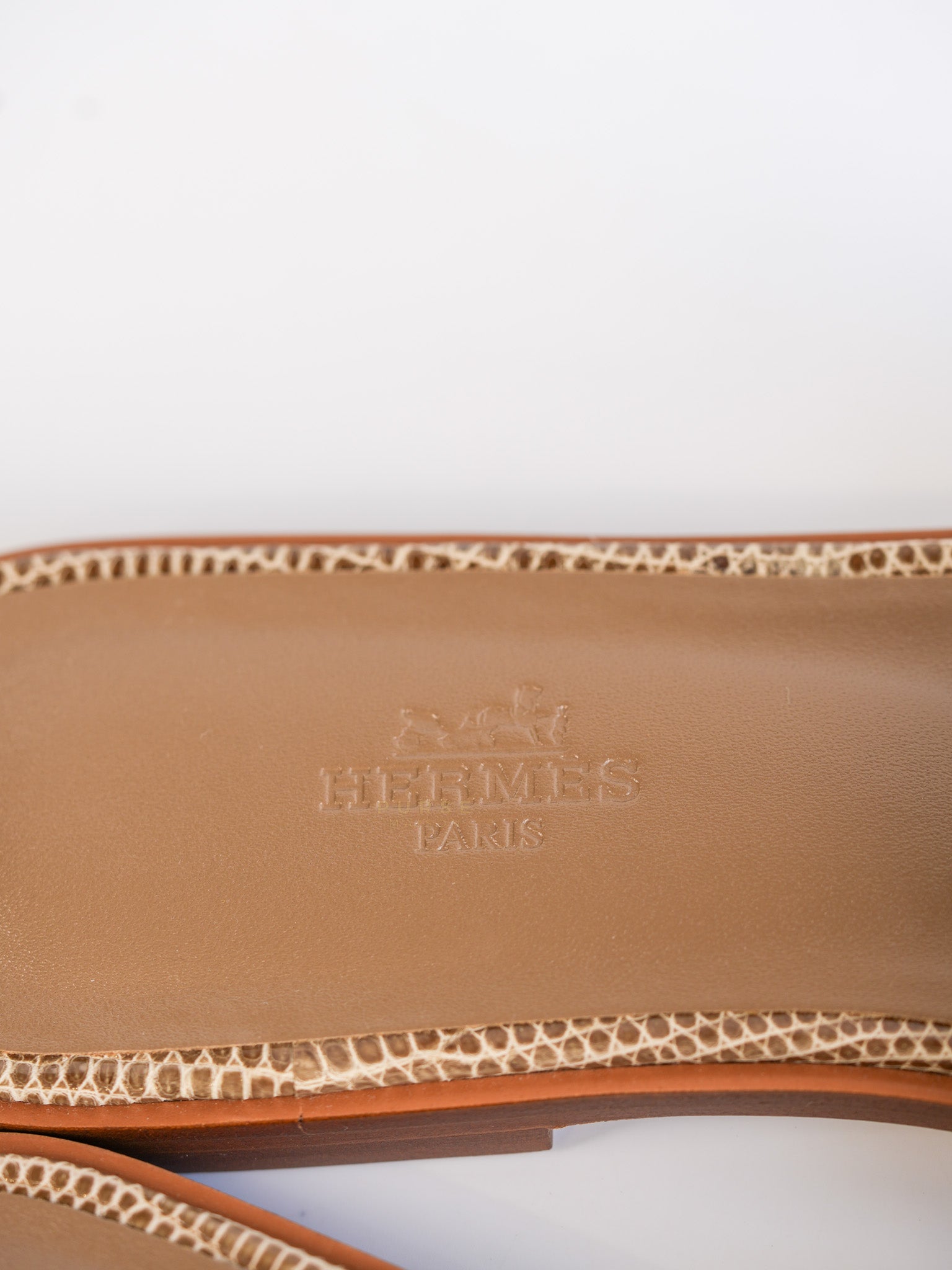 Oran Lizard (Size:UK 4.5, EU 38, Cm 24) | Purse Maison Luxury Bags Shop