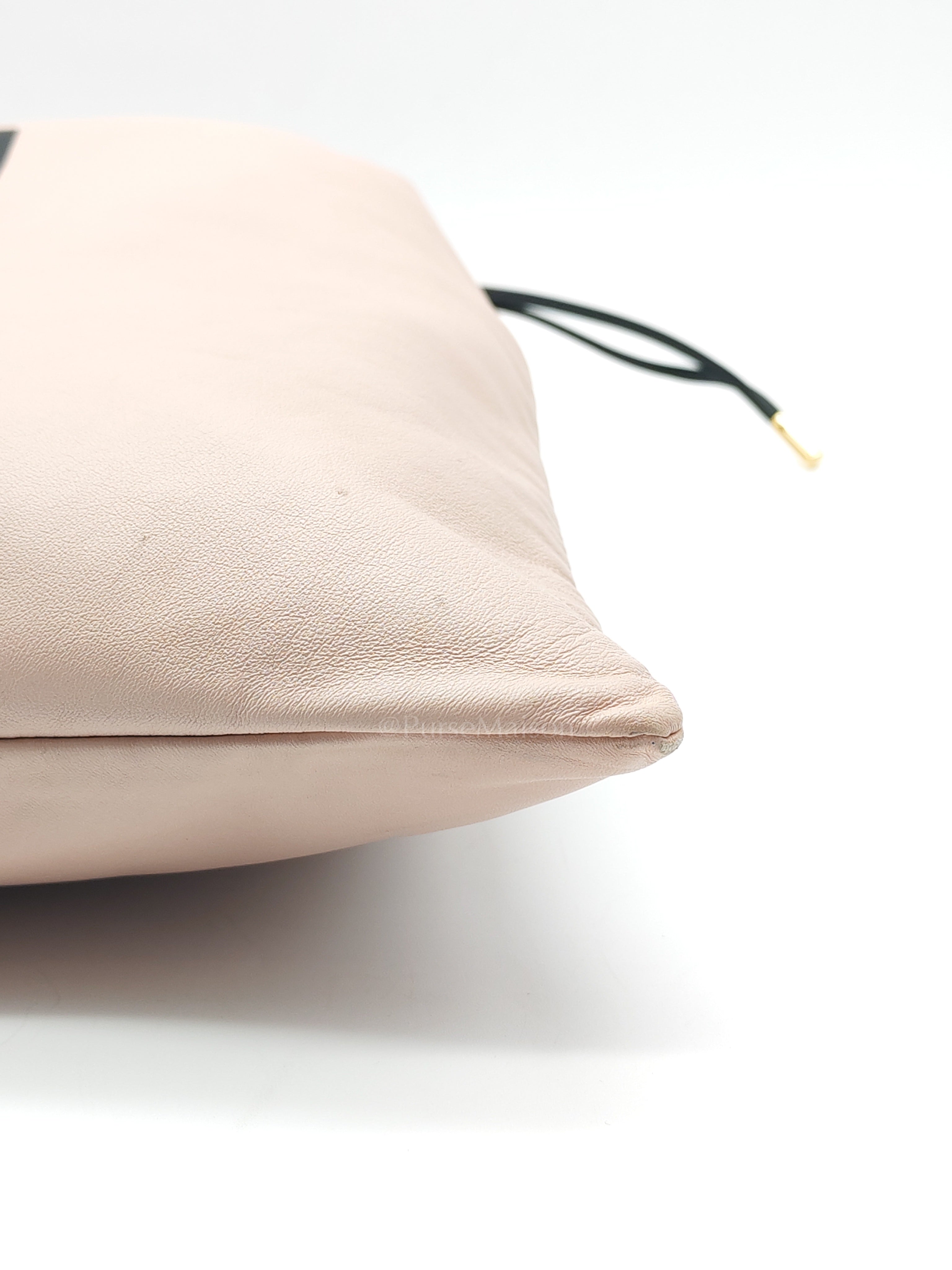 Pack Pouch Crossbody Bag in Blush Pink Leather & Gold Hardware | Purse Maison Luxury Bags Shop