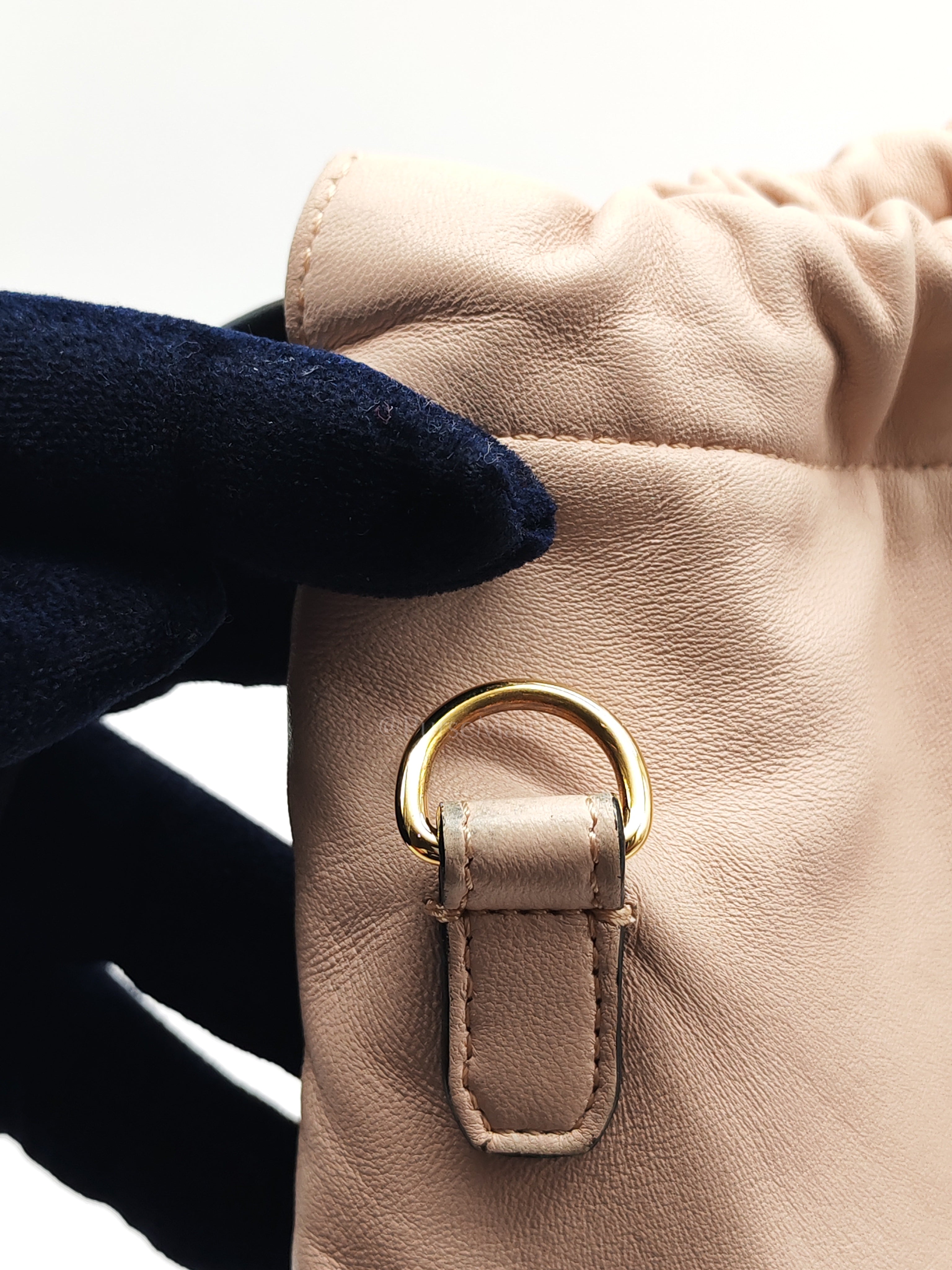 Pack Pouch Crossbody Bag in Blush Pink Leather & Gold Hardware | Purse Maison Luxury Bags Shop