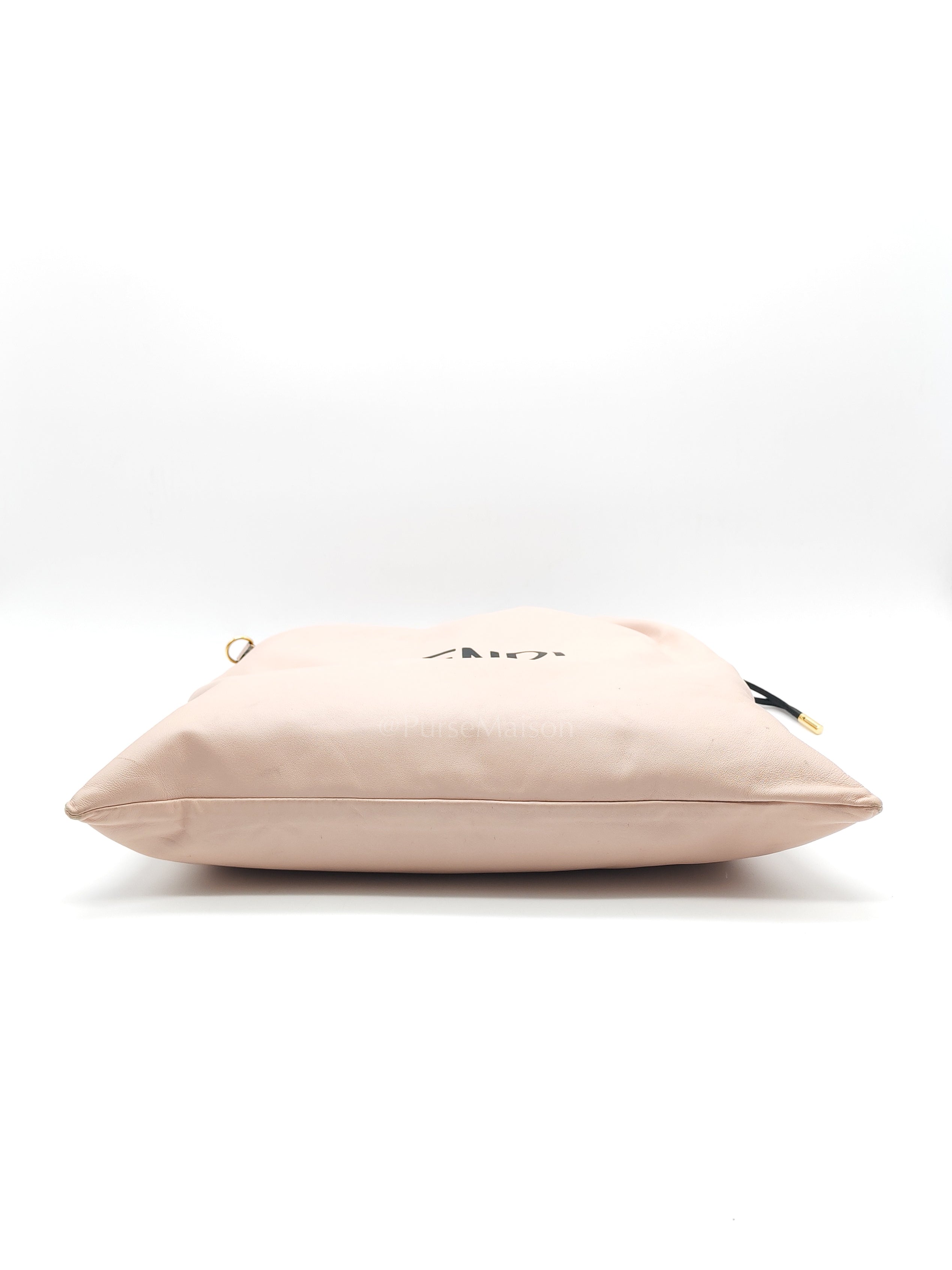 Pack Pouch Crossbody Bag in Blush Pink Leather & Gold Hardware | Purse Maison Luxury Bags Shop