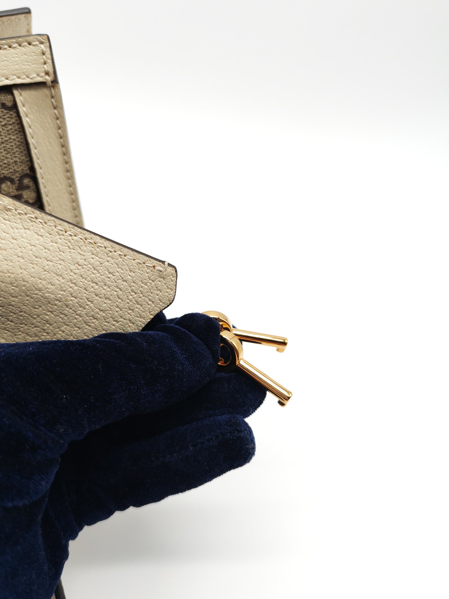 Padlock Flora in Supreme Canvas Tote Bag | Purse Maison Luxury Bags Shop