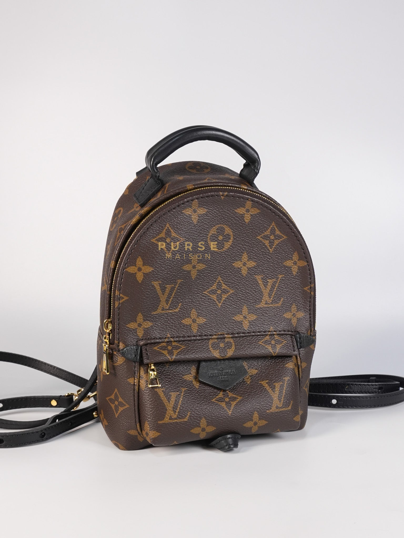 Palm Spring Mini Backpack in Monogram Canvas & Gold Hardware Microchip | Purse Maison Luxury Bags Shop