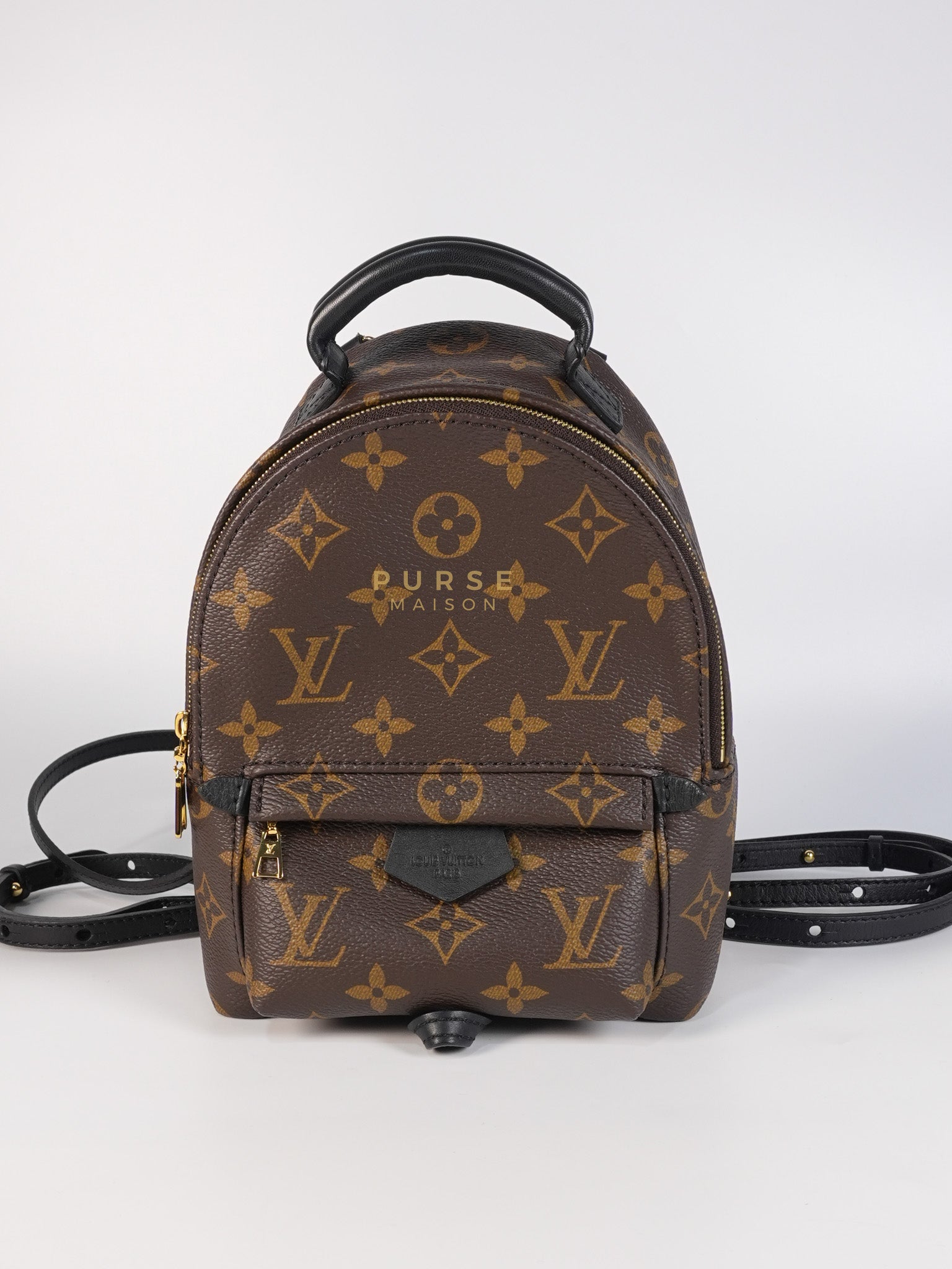 Palm Spring Mini Backpack in Monogram Canvas & Gold Hardware Microchip | Purse Maison Luxury Bags Shop