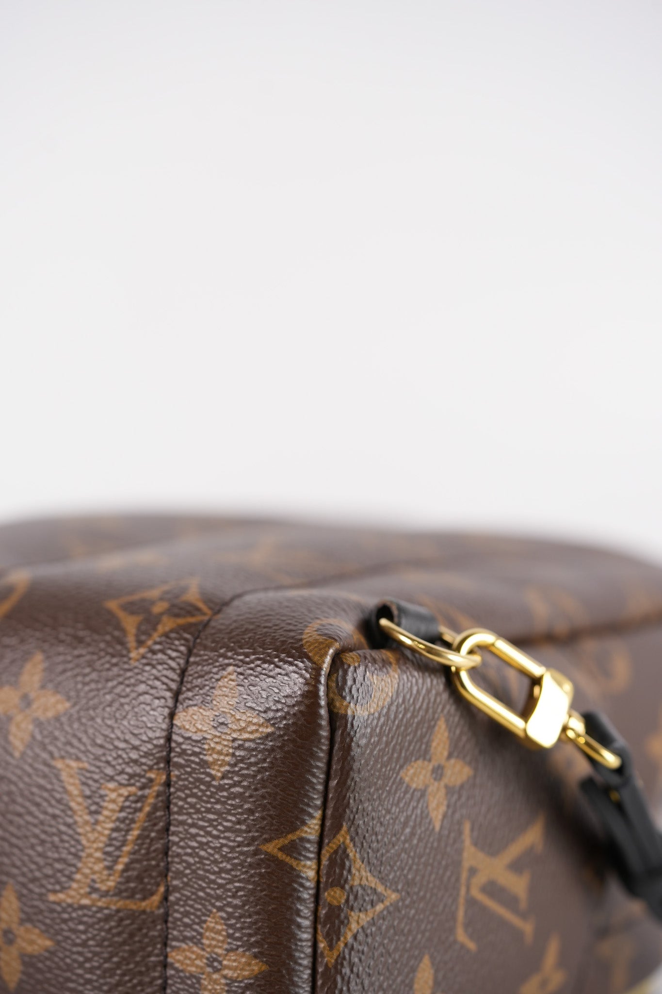 Palm Spring Mini in Monogram Canvas & Gold Hardware Microchip | Purse Maison Luxury Bags Shop