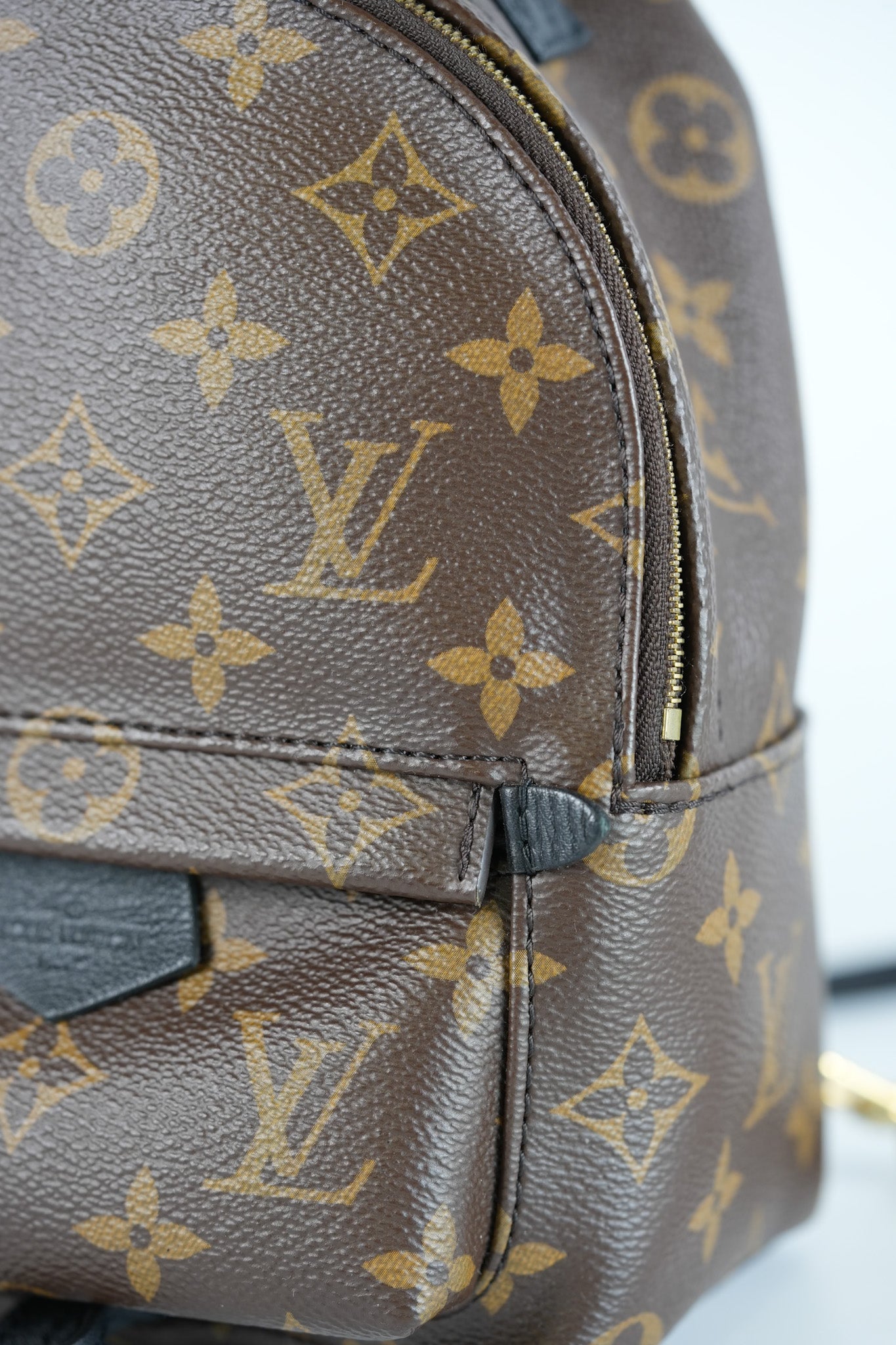 Palm Spring Mini in Monogram Canvas & Gold Hardware Microchip | Purse Maison Luxury Bags Shop