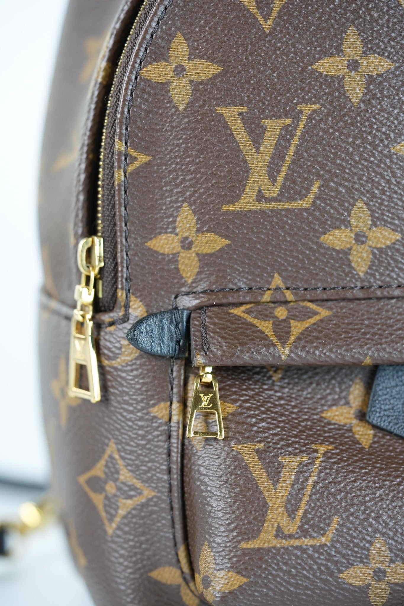 Palm Spring Mini in Monogram Canvas & Gold Hardware Microchip | Purse Maison Luxury Bags Shop