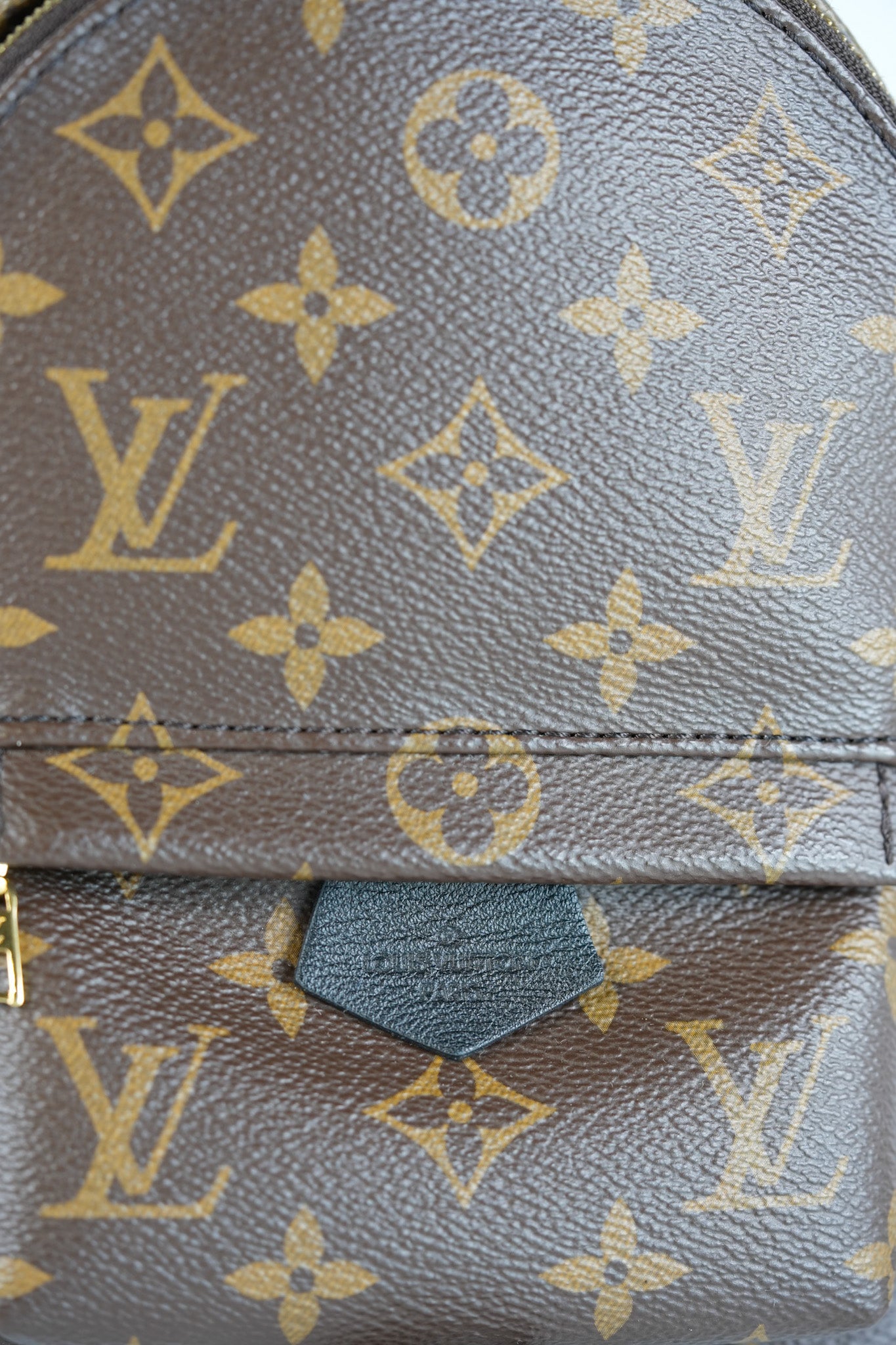 Palm Spring Mini in Monogram Canvas & Gold Hardware Microchip | Purse Maison Luxury Bags Shop