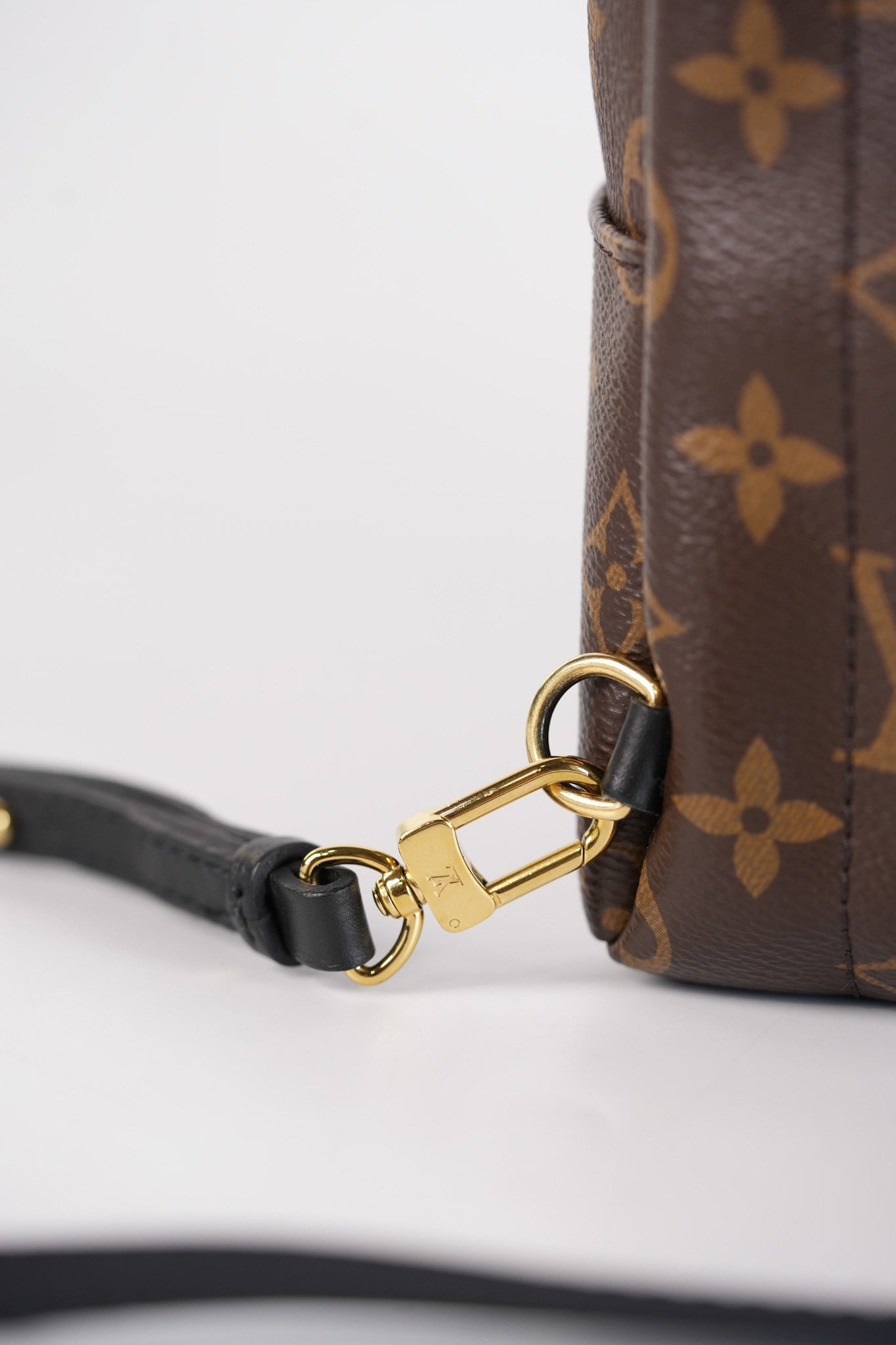 Palm Spring Mini in Monogram Canvas & Gold Hardware Microchip | Purse Maison Luxury Bags Shop