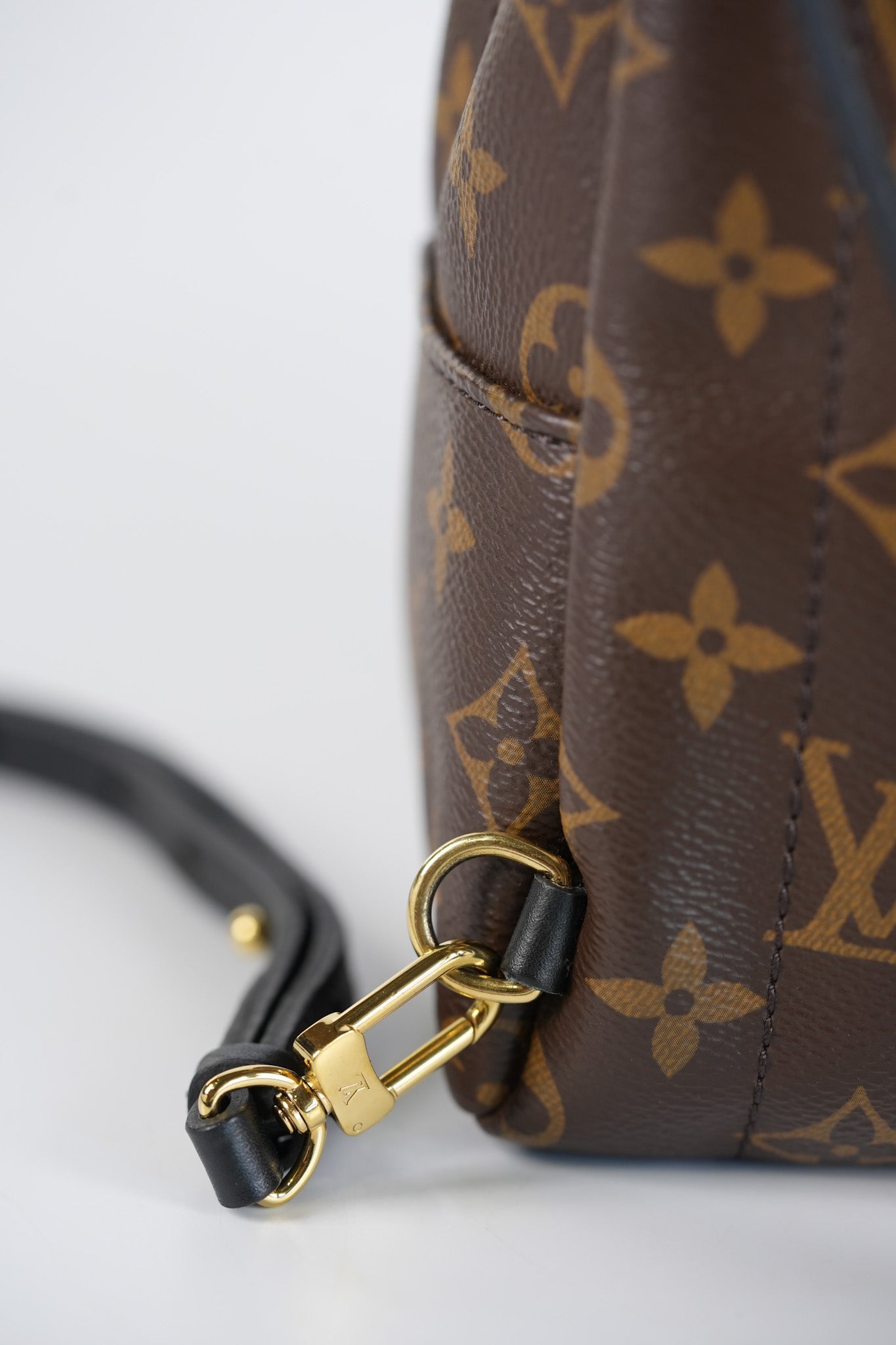 Palm Spring Mini in Monogram Canvas & Gold Hardware Microchip | Purse Maison Luxury Bags Shop