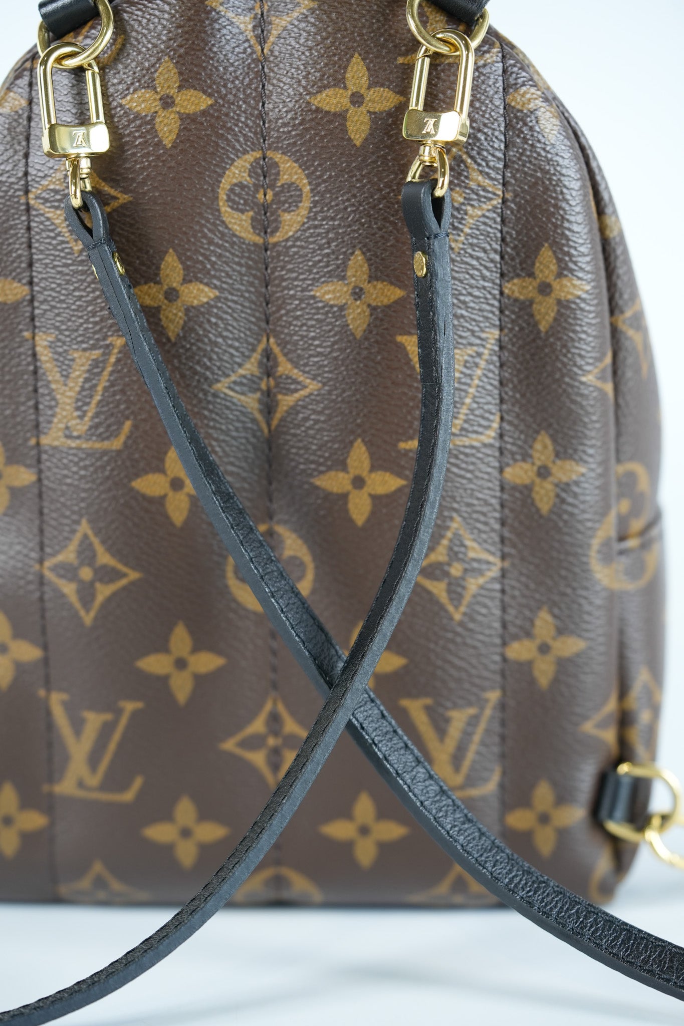 Palm Spring Mini in Monogram Canvas & Gold Hardware Microchip | Purse Maison Luxury Bags Shop