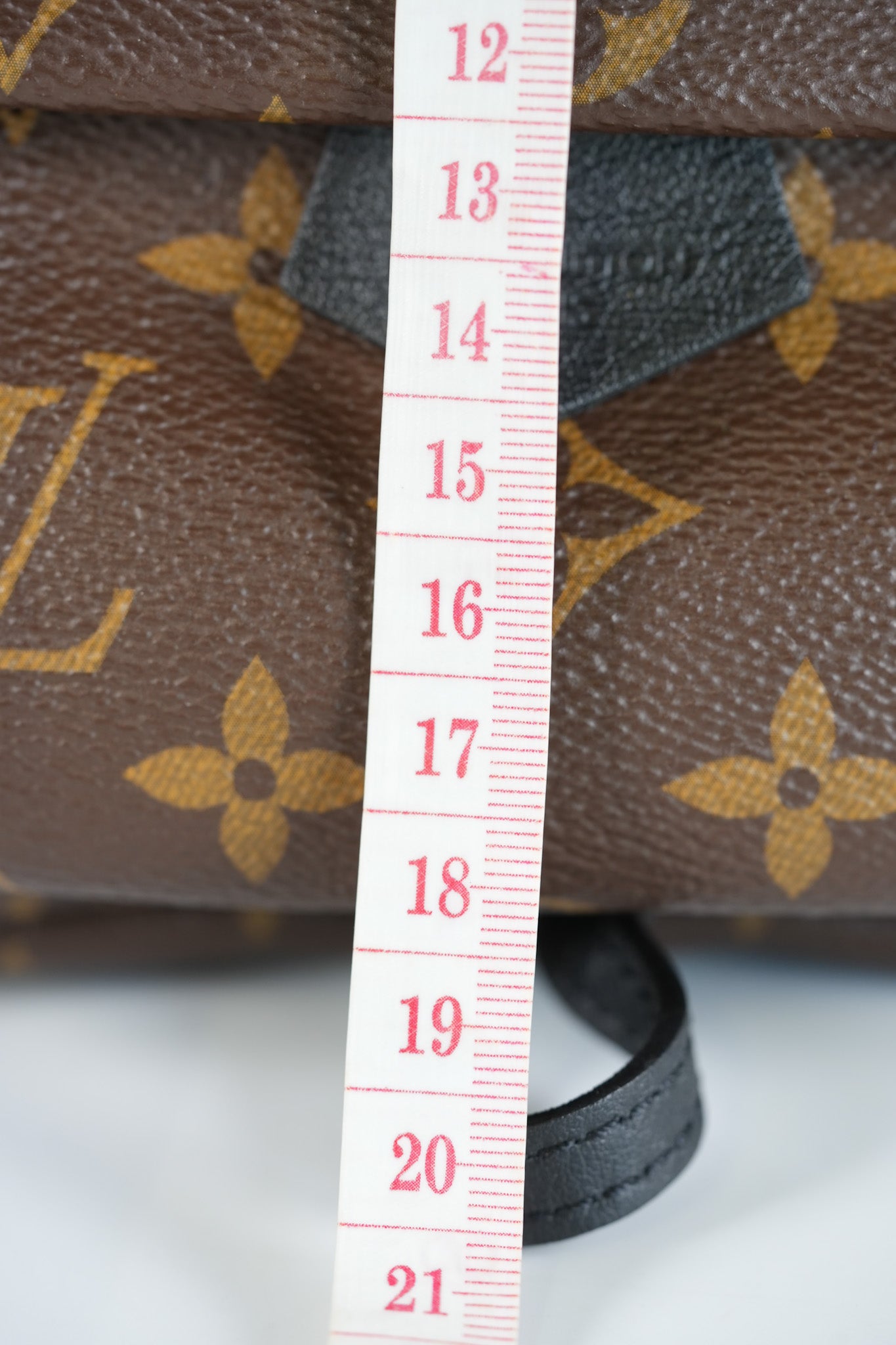 Palm Spring Mini in Monogram Canvas & Gold Hardware Microchip | Purse Maison Luxury Bags Shop