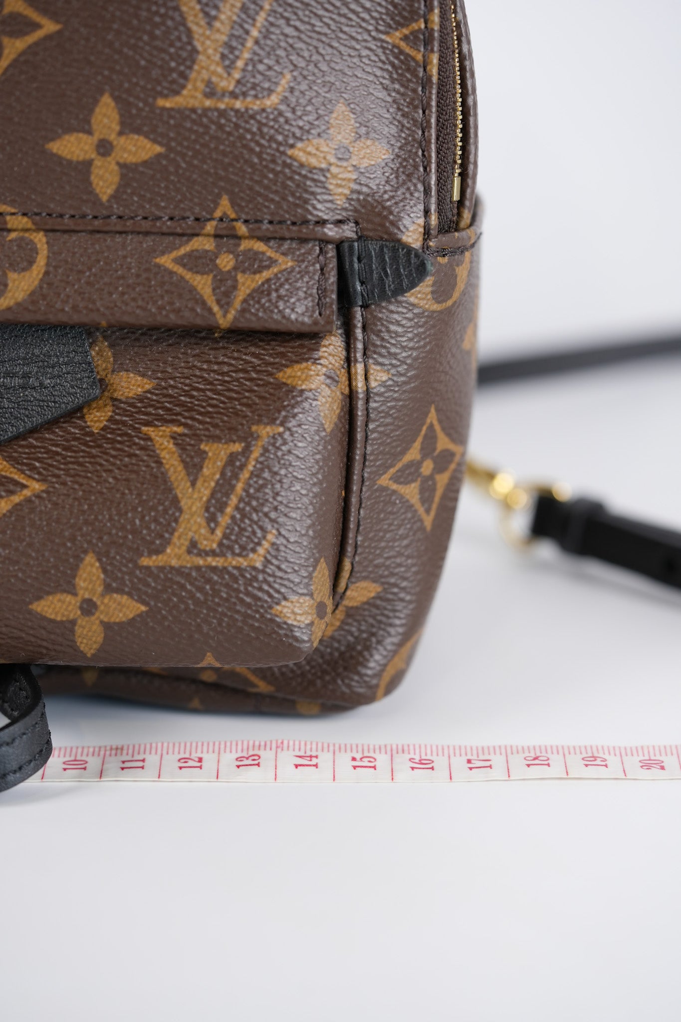 Palm Spring Mini in Monogram Canvas & Gold Hardware Microchip | Purse Maison Luxury Bags Shop