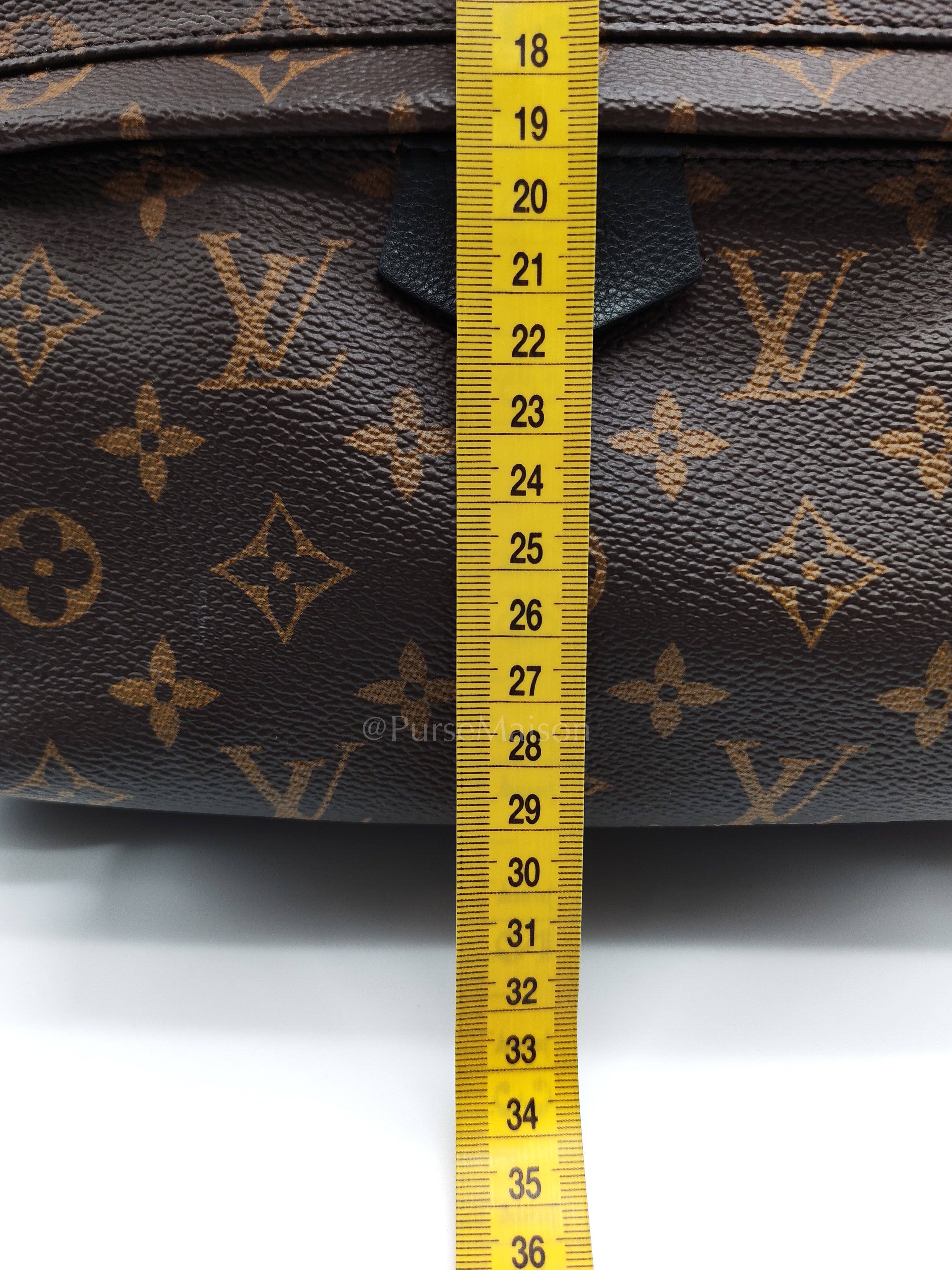 Palm Spring Monogram | Purse Maison Luxury Bags Shop