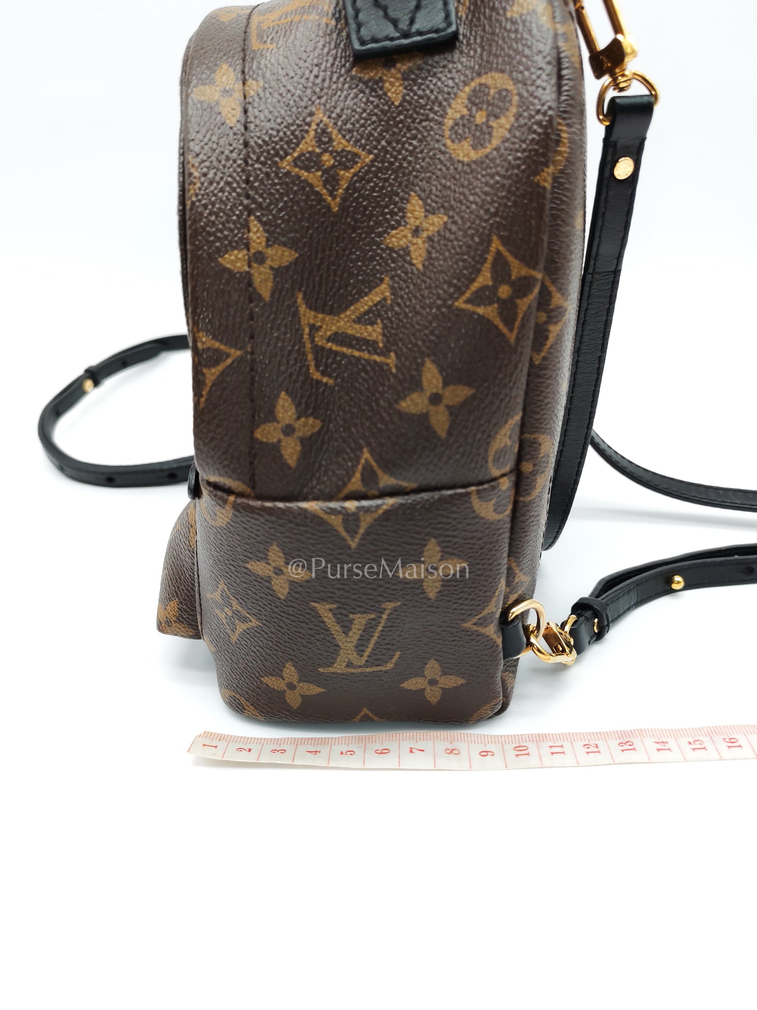 Palm Springs Mini in Monogram Canvas (Date code: FL4117) | Purse Maison Luxury Bags Shop