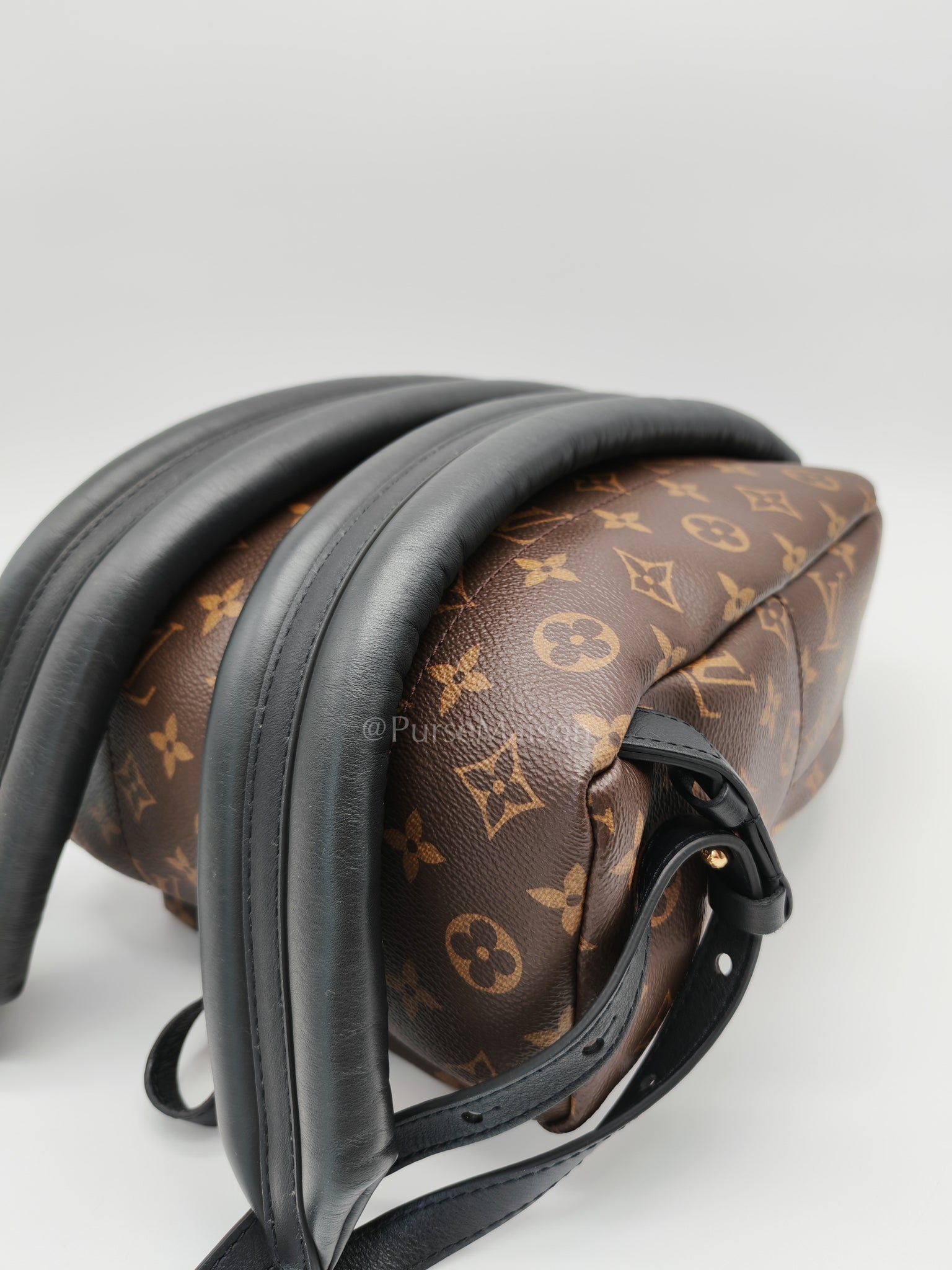 Palm Springs PM in Monogram Canvas Backpack (Microchip) | Purse Maison Luxury Bags Shop