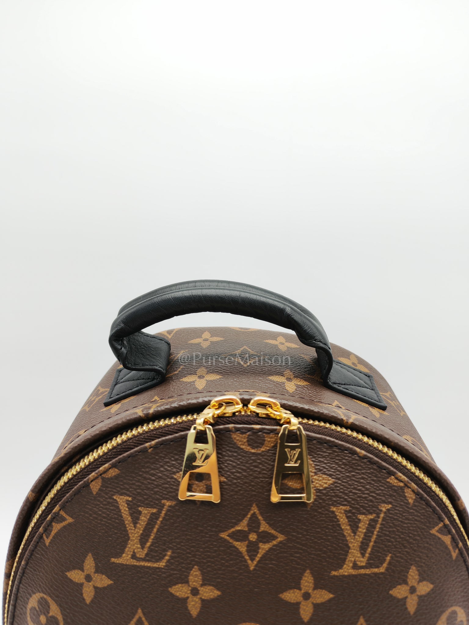 Palm Springs PM in Monogram Canvas Backpack (Microchip) | Purse Maison Luxury Bags Shop