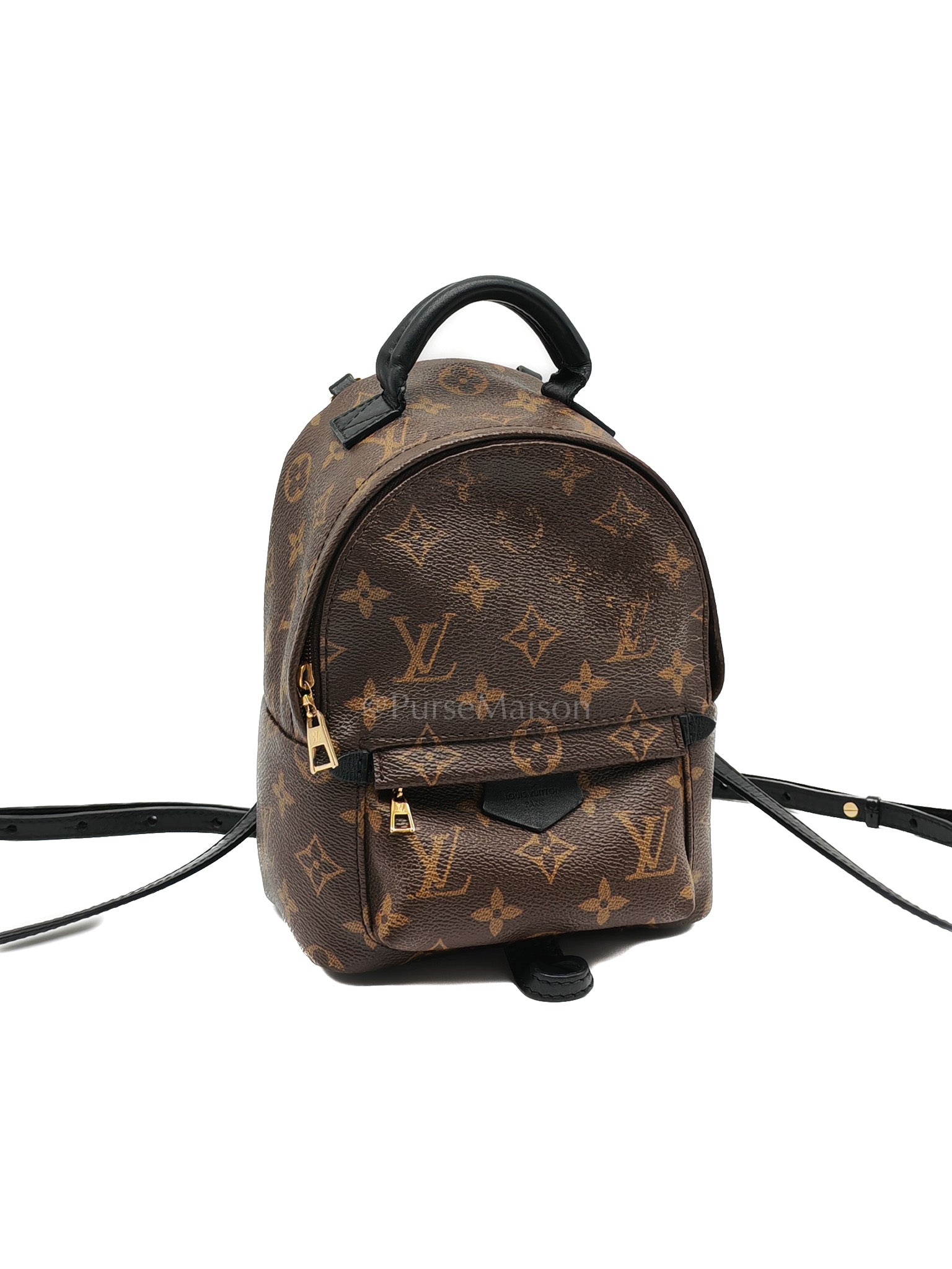 Palm Springs PM in Monogram Canvas Backpack (Microchip) | Purse Maison Luxury Bags Shop