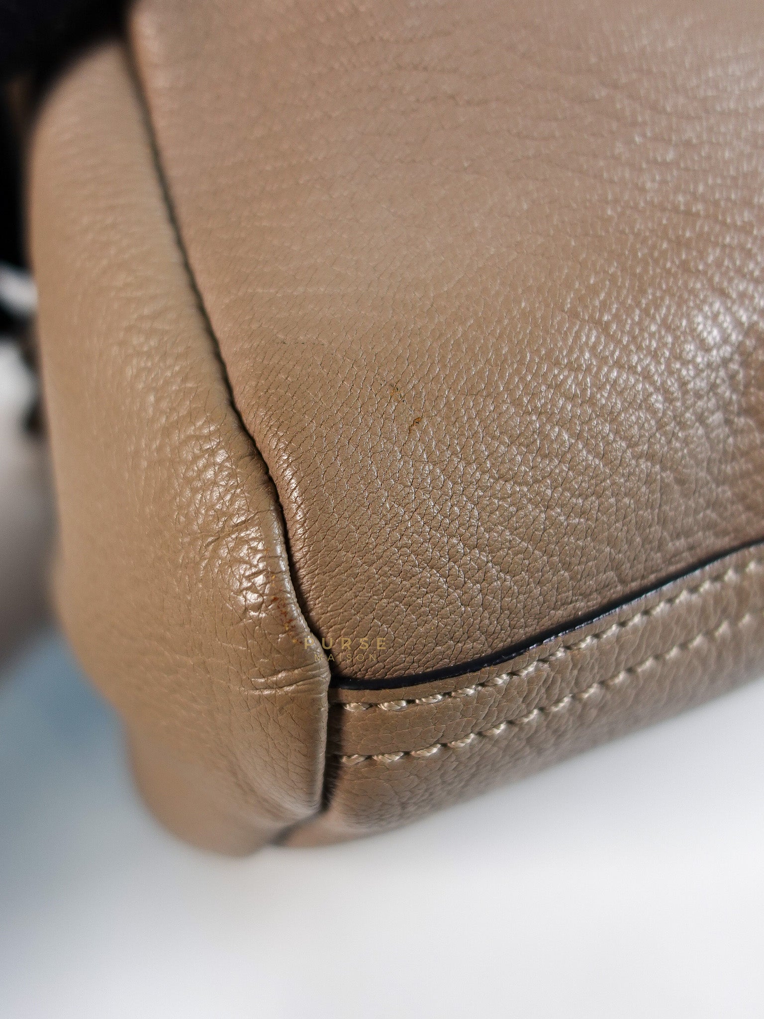 Pandora Mini Shoulder Bag in Beige & Silver Hardware | Purse Maison Luxury Bags Shop