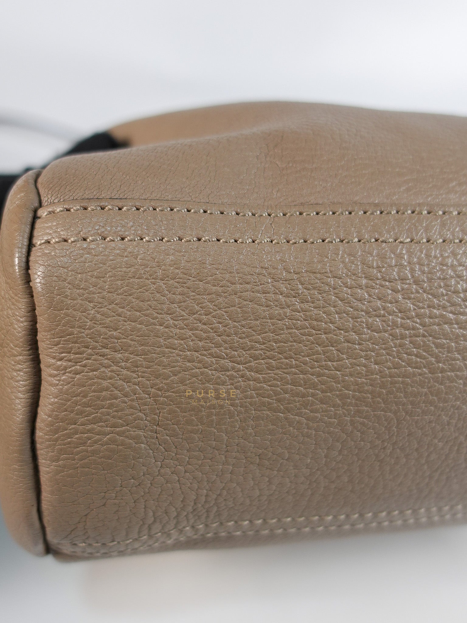 Pandora Mini Shoulder Bag in Beige & Silver Hardware | Purse Maison Luxury Bags Shop