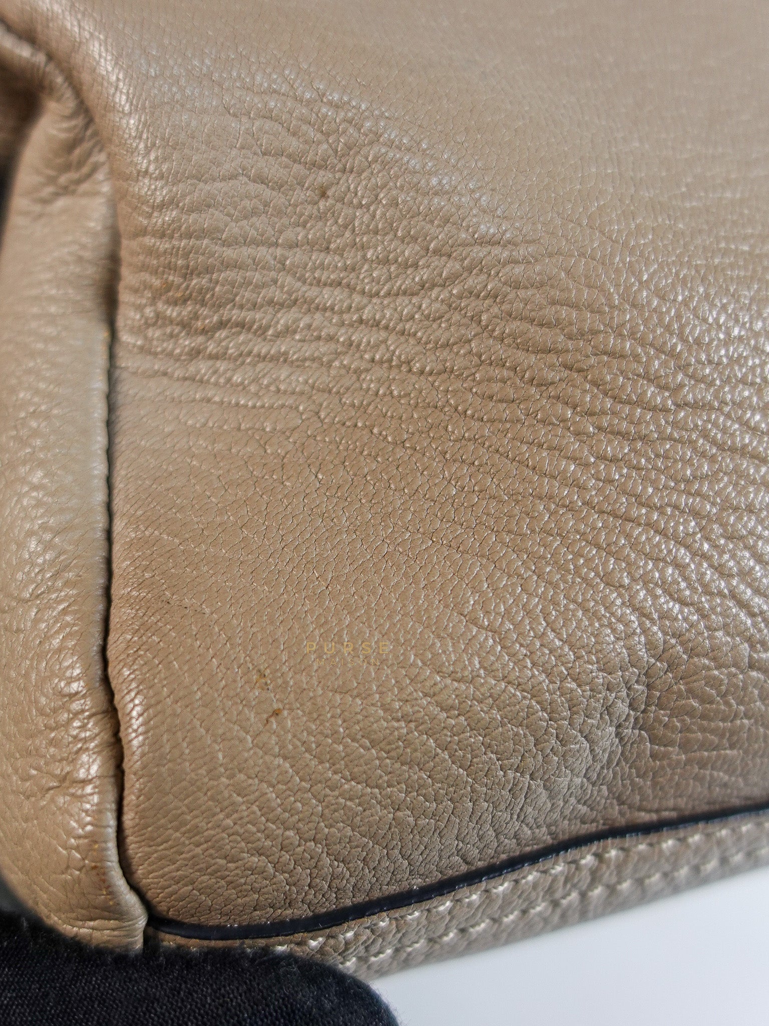 Pandora Mini Shoulder Bag in Beige & Silver Hardware | Purse Maison Luxury Bags Shop