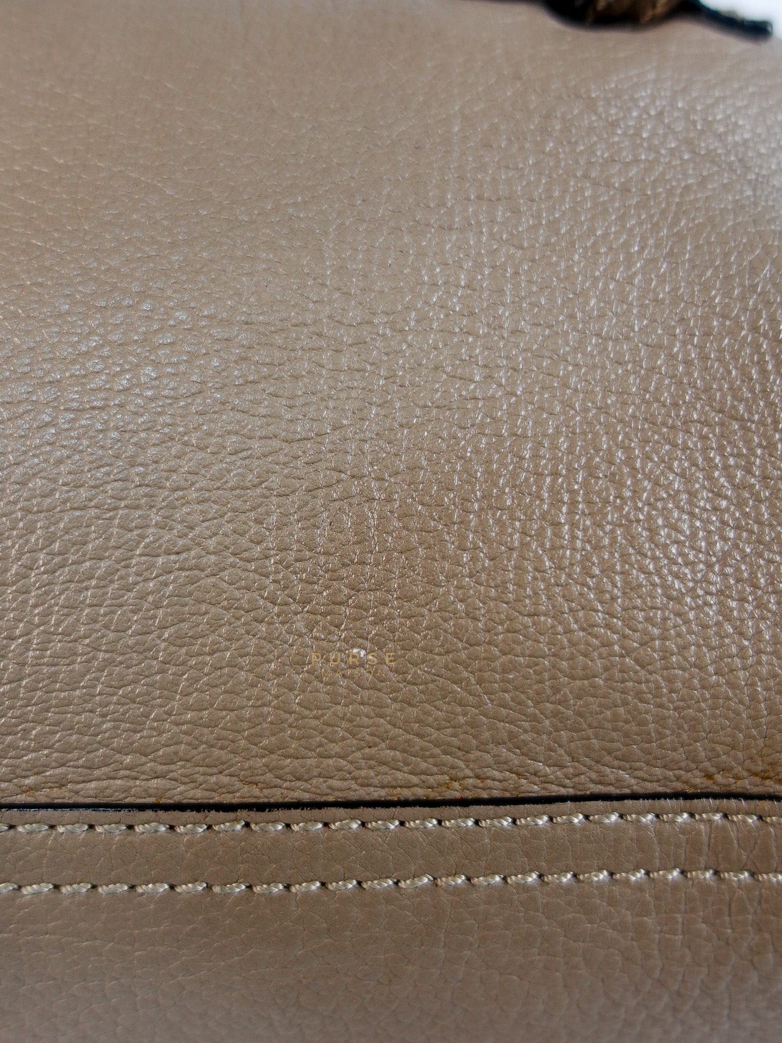 Pandora Mini Shoulder Bag in Beige & Silver Hardware | Purse Maison Luxury Bags Shop