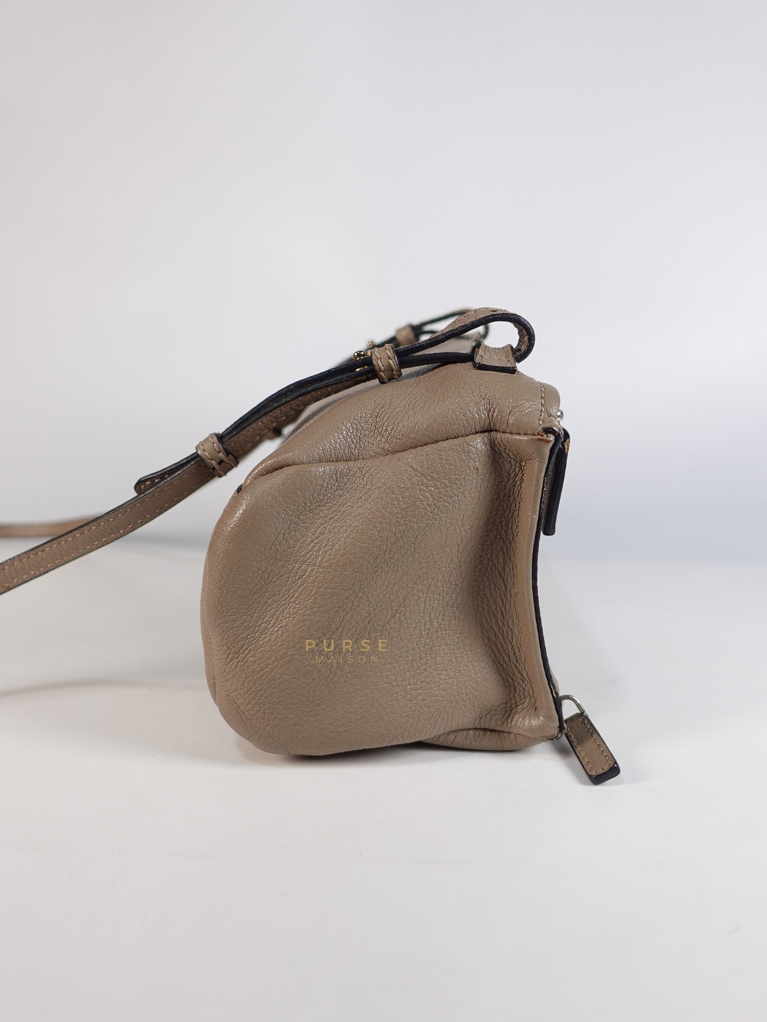 Pandora Mini Shoulder Bag in Beige & Silver Hardware | Purse Maison Luxury Bags Shop