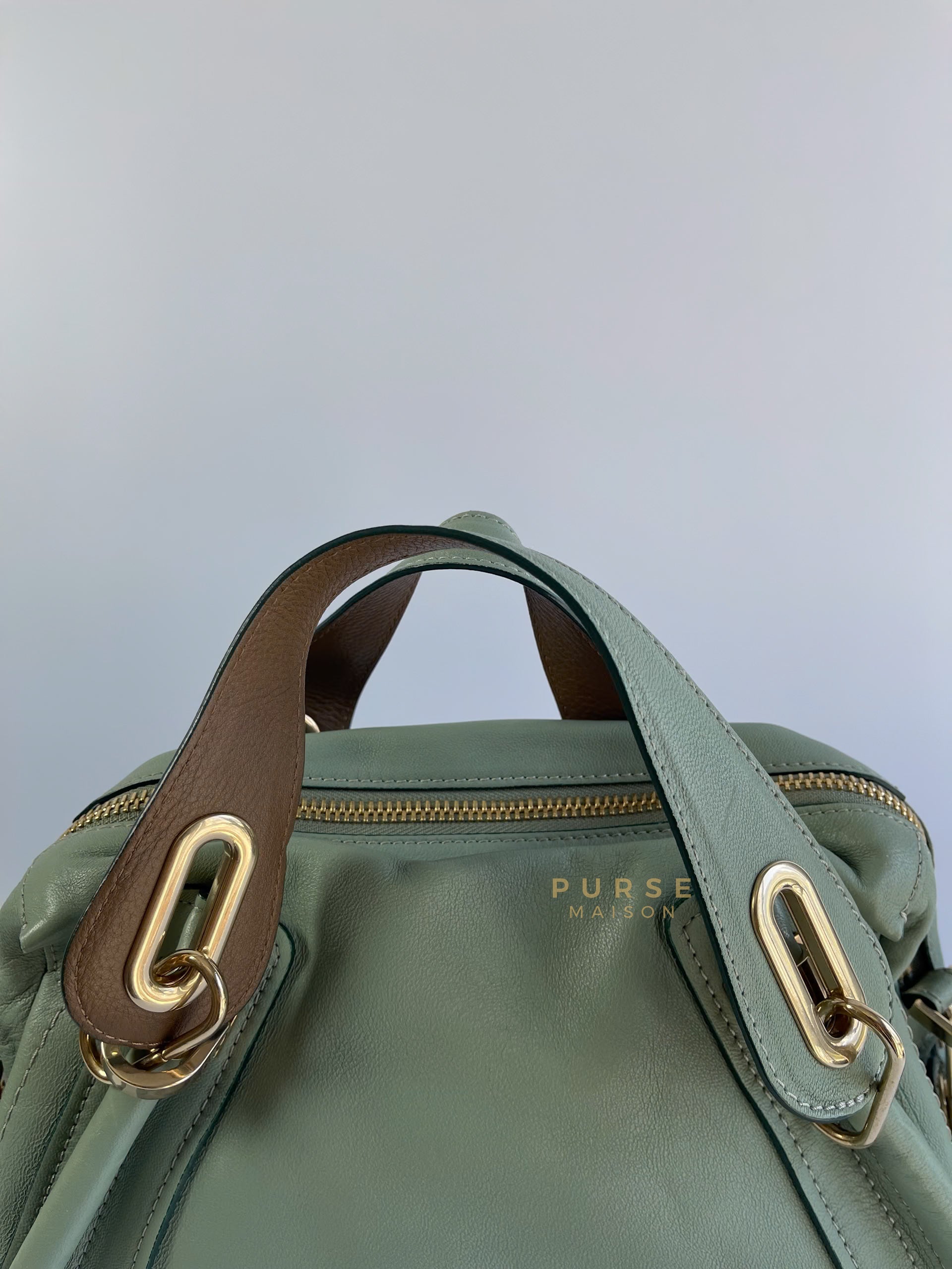 Paraty in Light Blue Green Pebbled Calfskin Leather Bag | Purse Maison Luxury Bags Shop