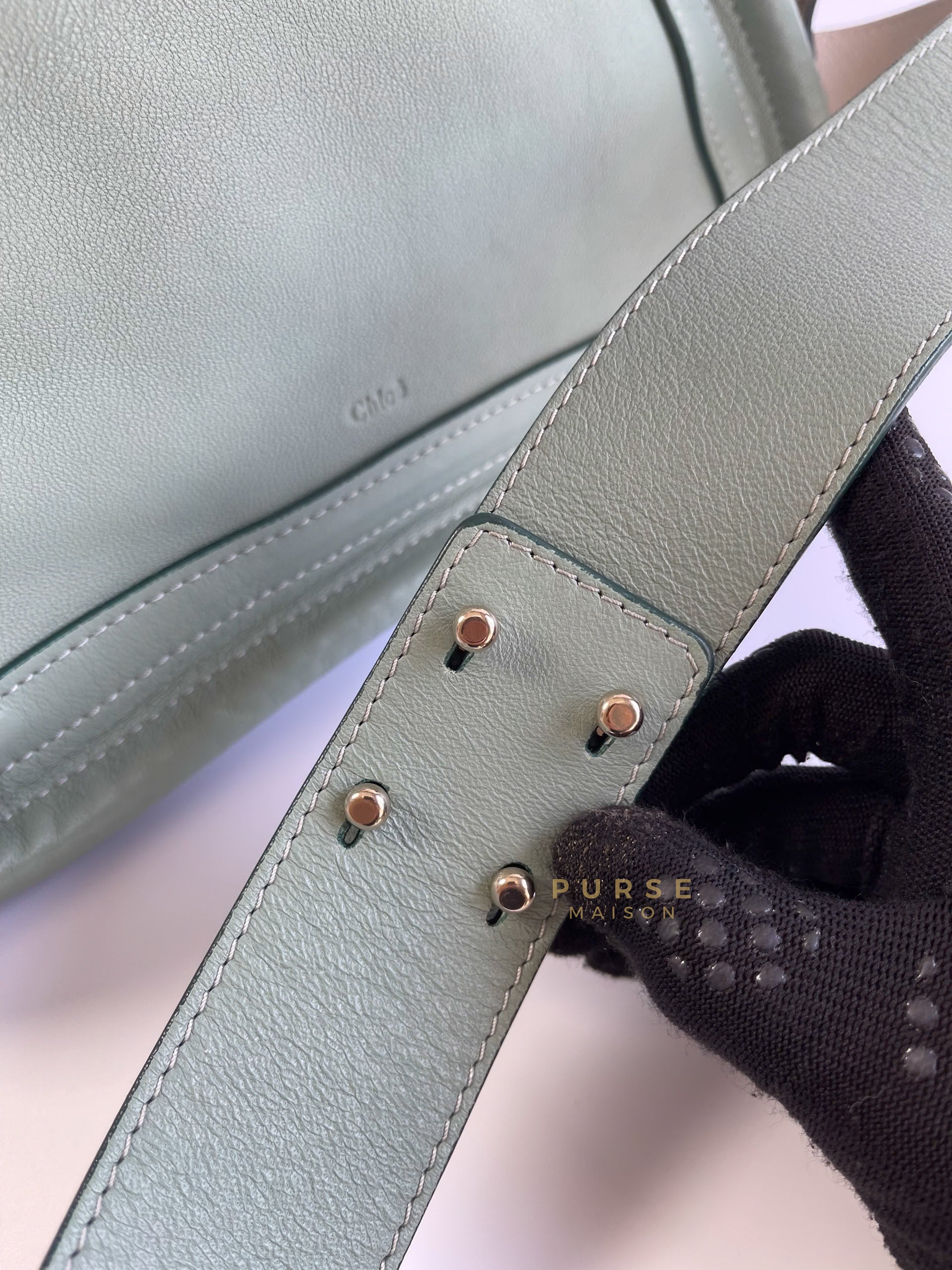 Paraty in Light Blue Green Pebbled Calfskin Leather Bag | Purse Maison Luxury Bags Shop