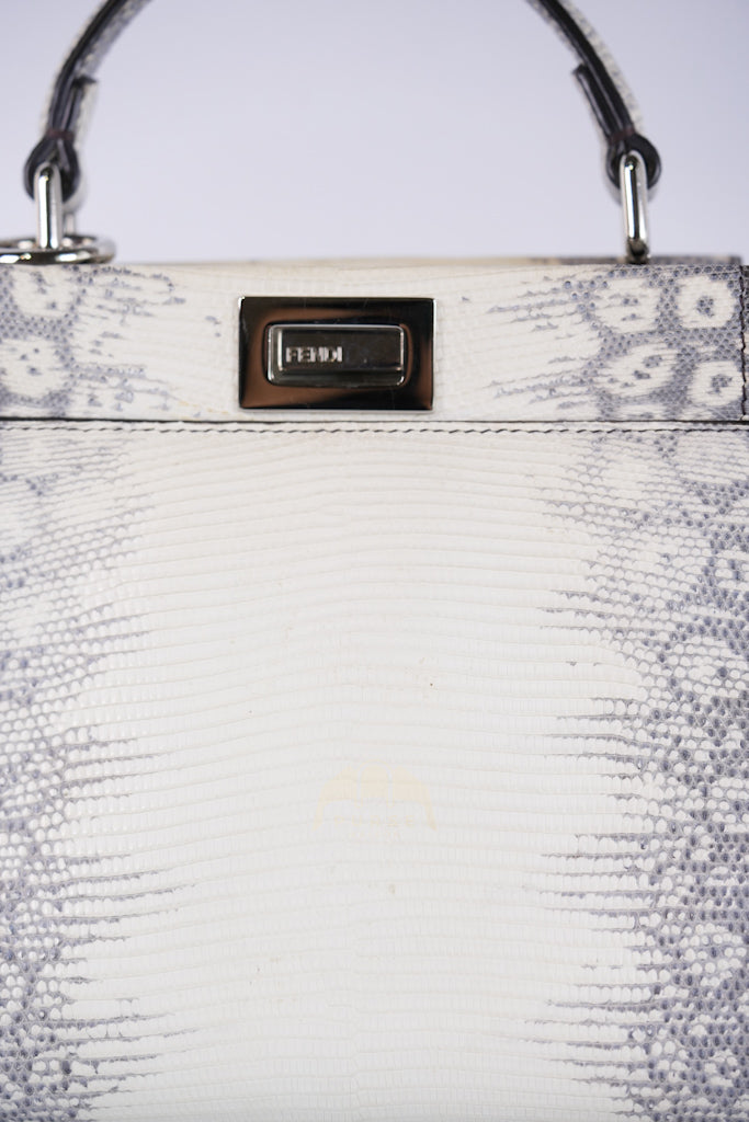 Peekaboo Mini in Lizard Gradient Gray Palladium Hardware | Purse Maison Luxury Bags Shop