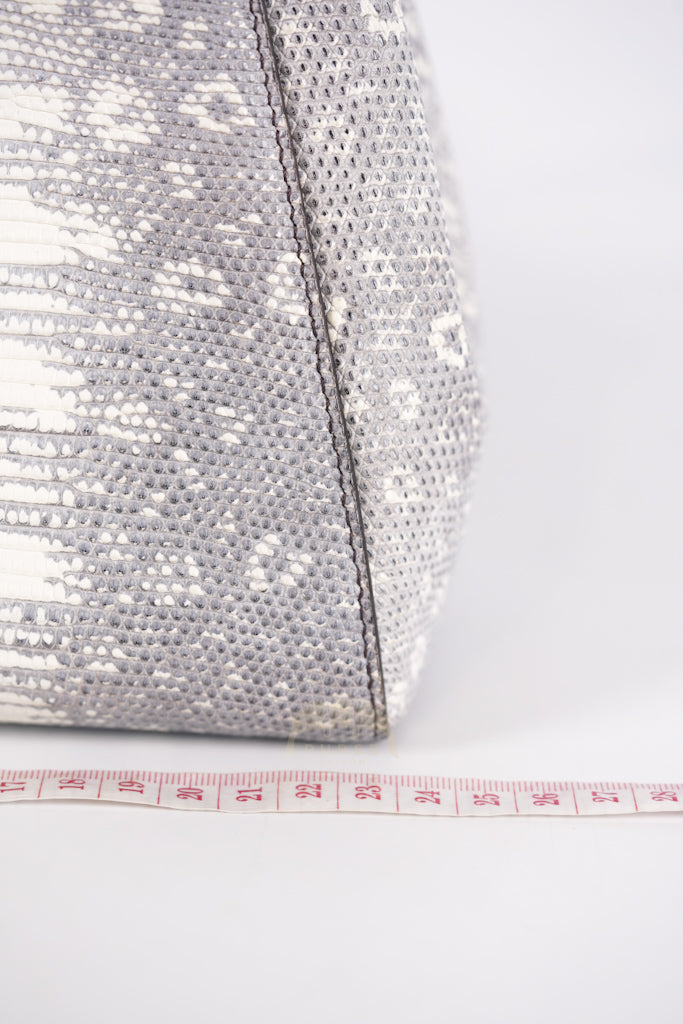 Peekaboo Mini in Lizard Gradient Gray Palladium Hardware | Purse Maison Luxury Bags Shop