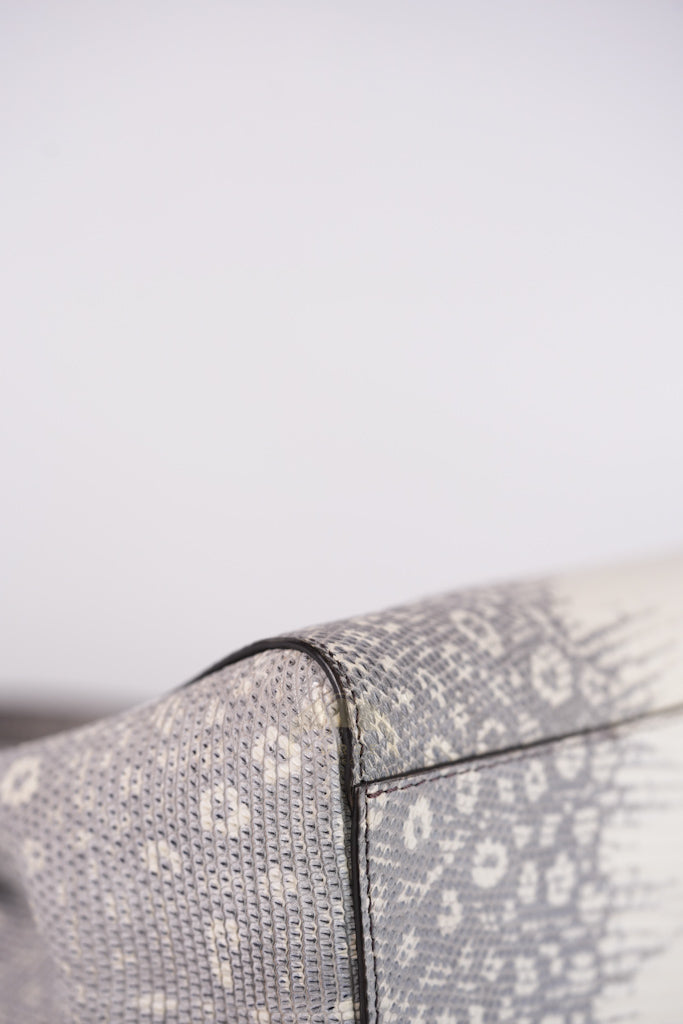 Peekaboo Mini in Lizard Gradient Gray Palladium Hardware | Purse Maison Luxury Bags Shop