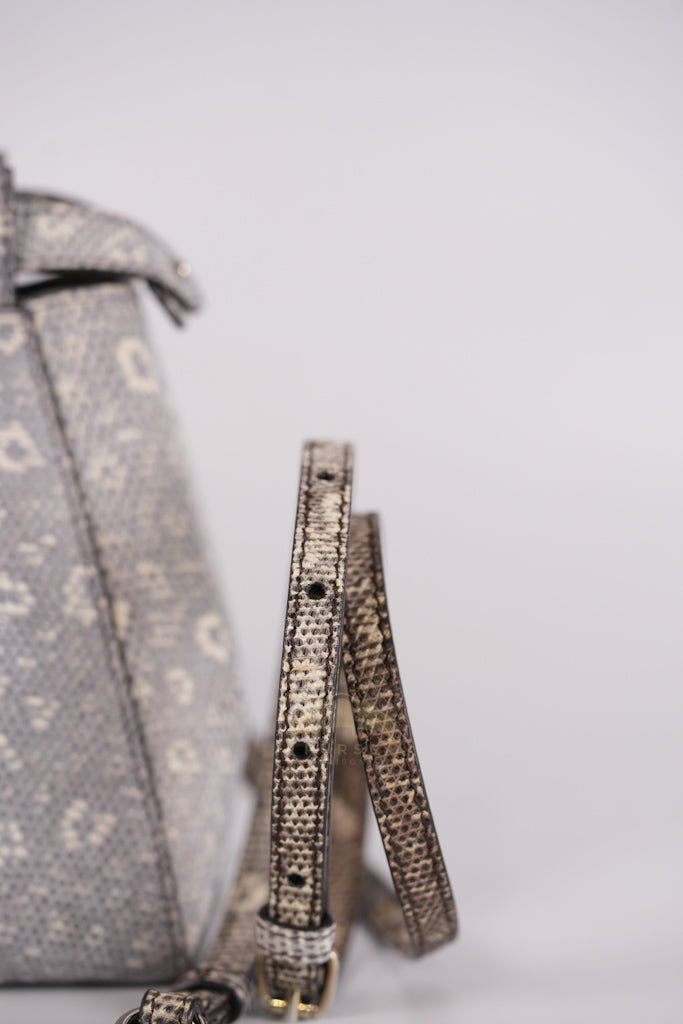 Peekaboo Mini in Lizard Gradient Gray Palladium Hardware | Purse Maison Luxury Bags Shop