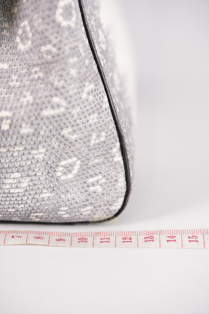 Peekaboo Mini in Lizard Gradient Gray Palladium Hardware | Purse Maison Luxury Bags Shop