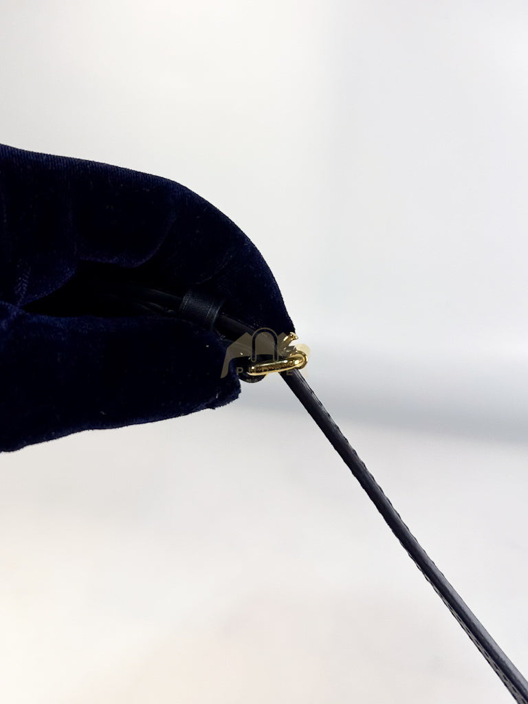 Petite Malle Bag in Monogram Coated Canvas & Gold Hardware Microchip | Purse Maison Luxury Bags Shop