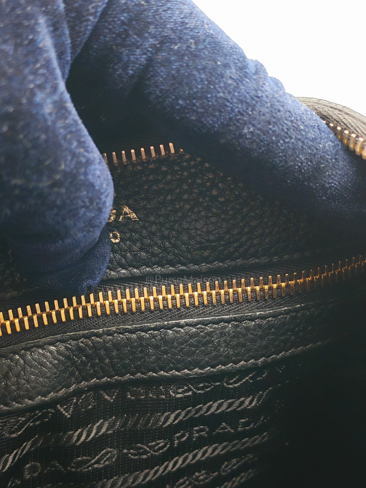 Vitello Phenix Hobo Bag in Black Pebbled Calfskin Leather & Gold Hardware