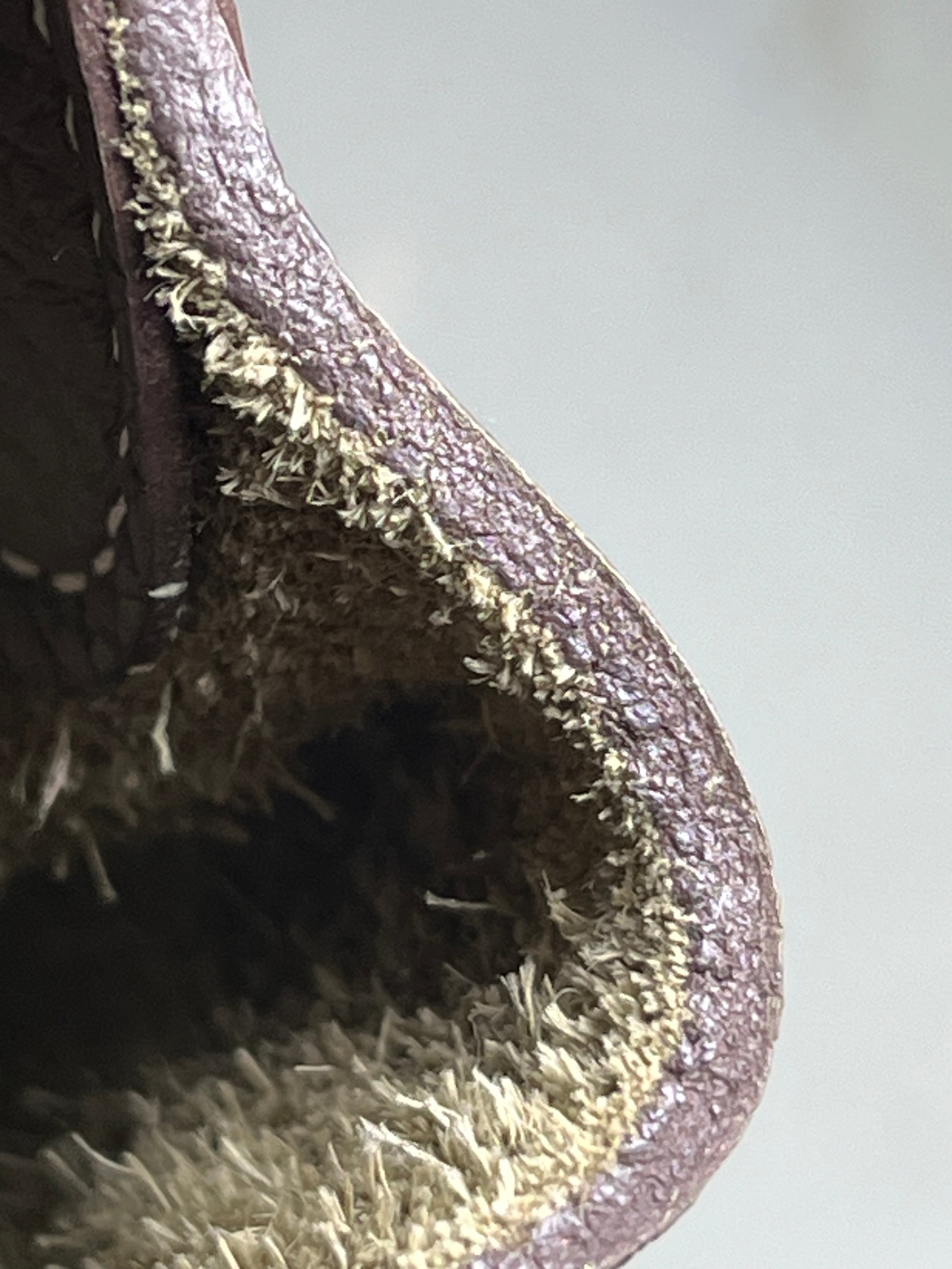 Picotin 22 in Etoupe Clemence Leather Gold Hardware Stamp U(2022) | Purse Maison Luxury Bags Shop